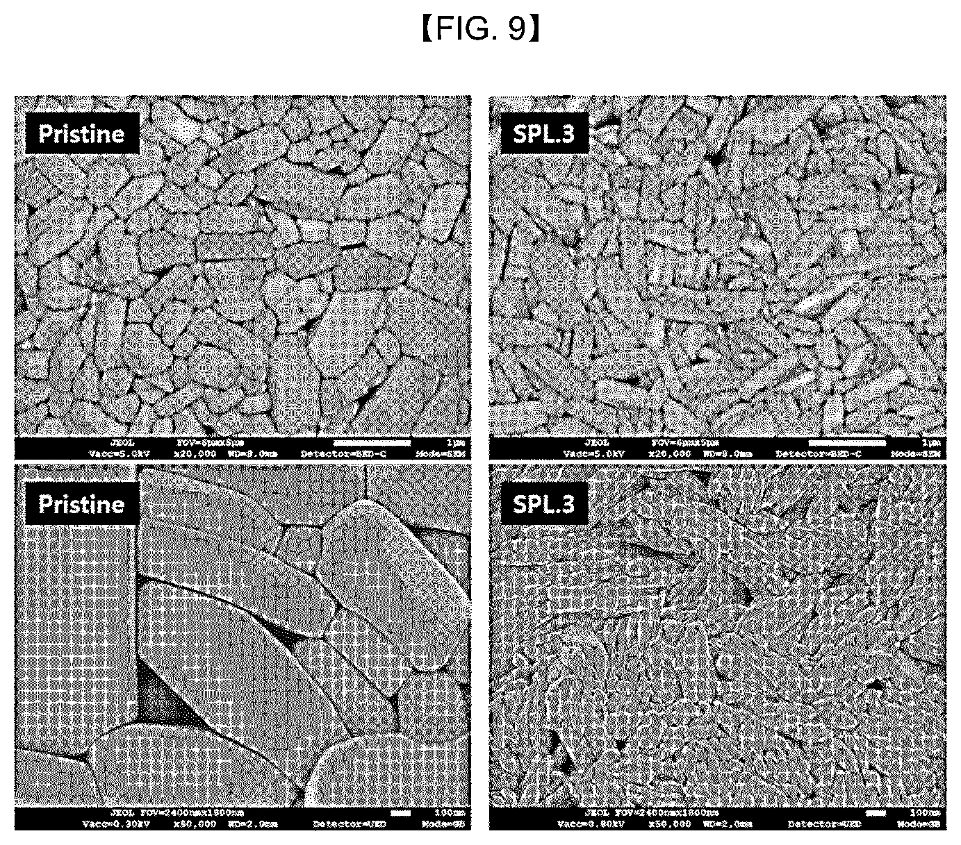 Patent US12614724 Figure 13 – Cathode active material for lithium secondary battery, and lithium secondary battery including same
