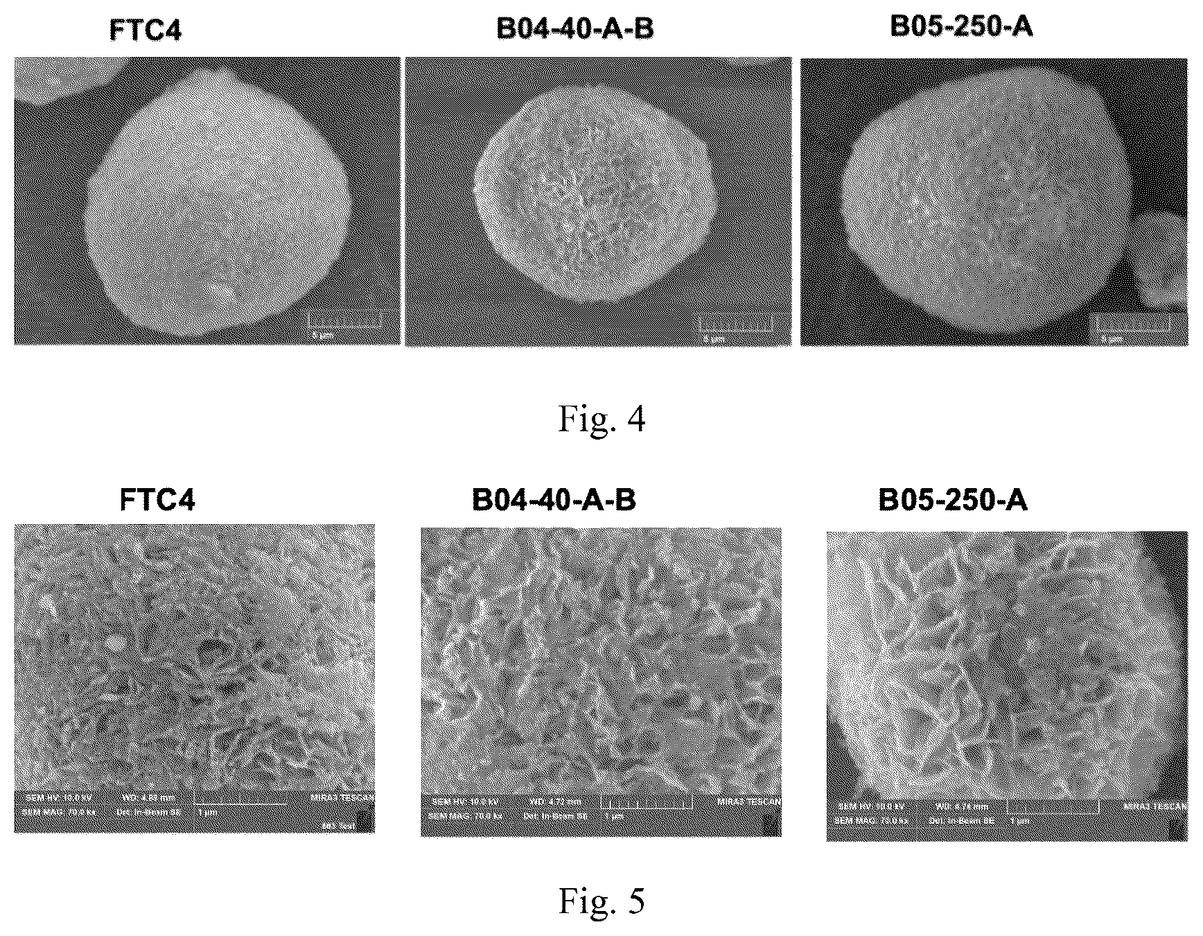 Patent US12614763 Figure 3 – Positive electrode material and preparation method therefor, alkaline secondary battery