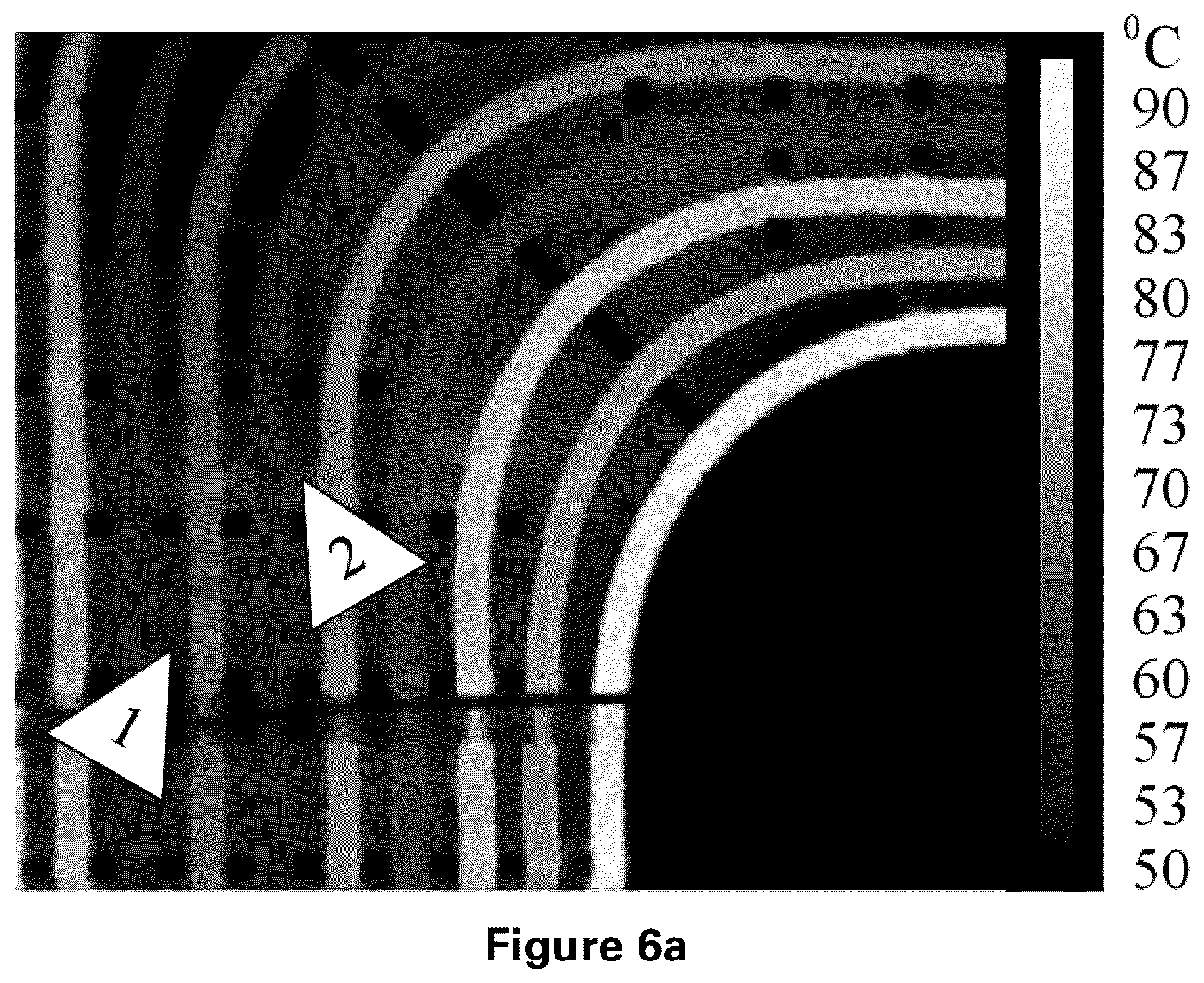 Patent US12614926 Figure 5 – High power magnetics in wireless charging systems