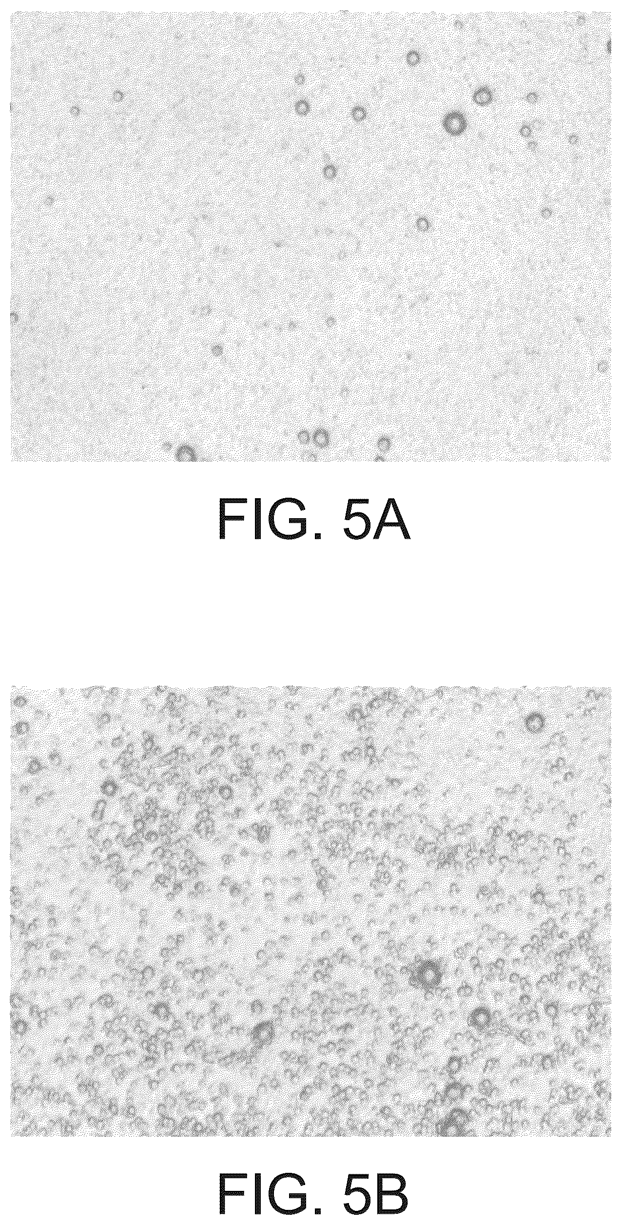 Patent US12616035 Figure 7 – Semiconductor device and manufacturing method thereof