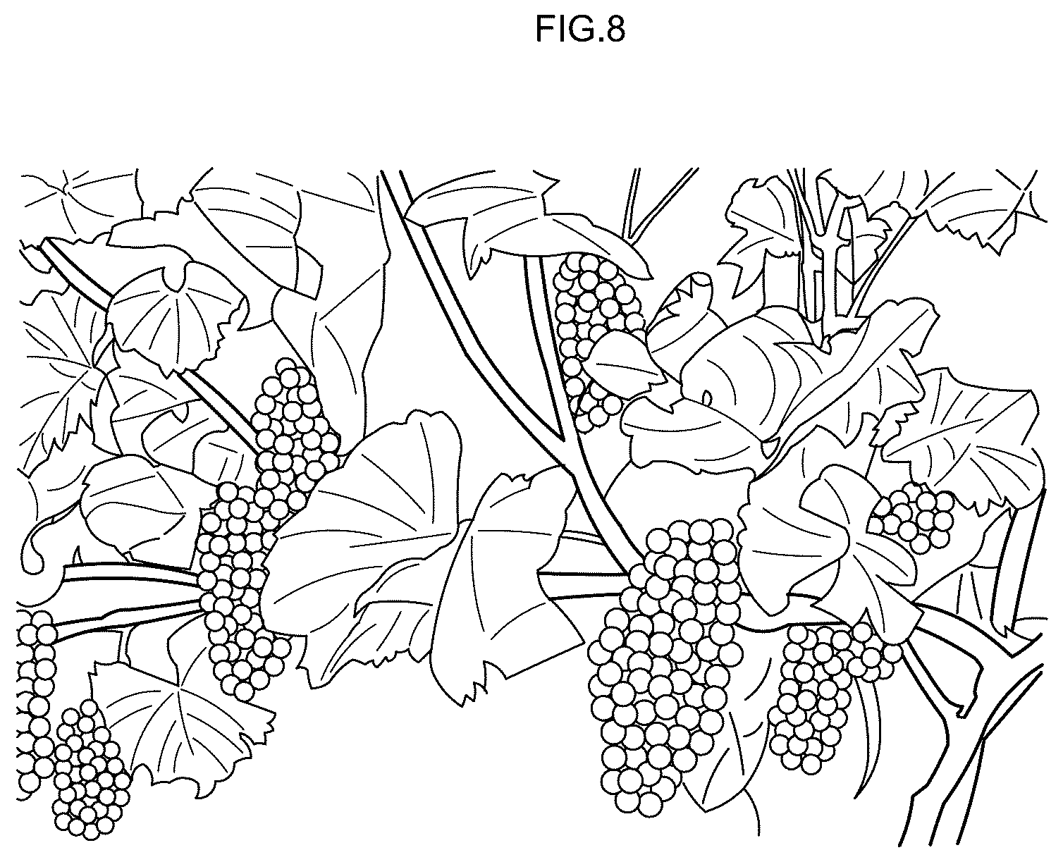 Patent US12616104 Figure 9 – Grape cultivation method