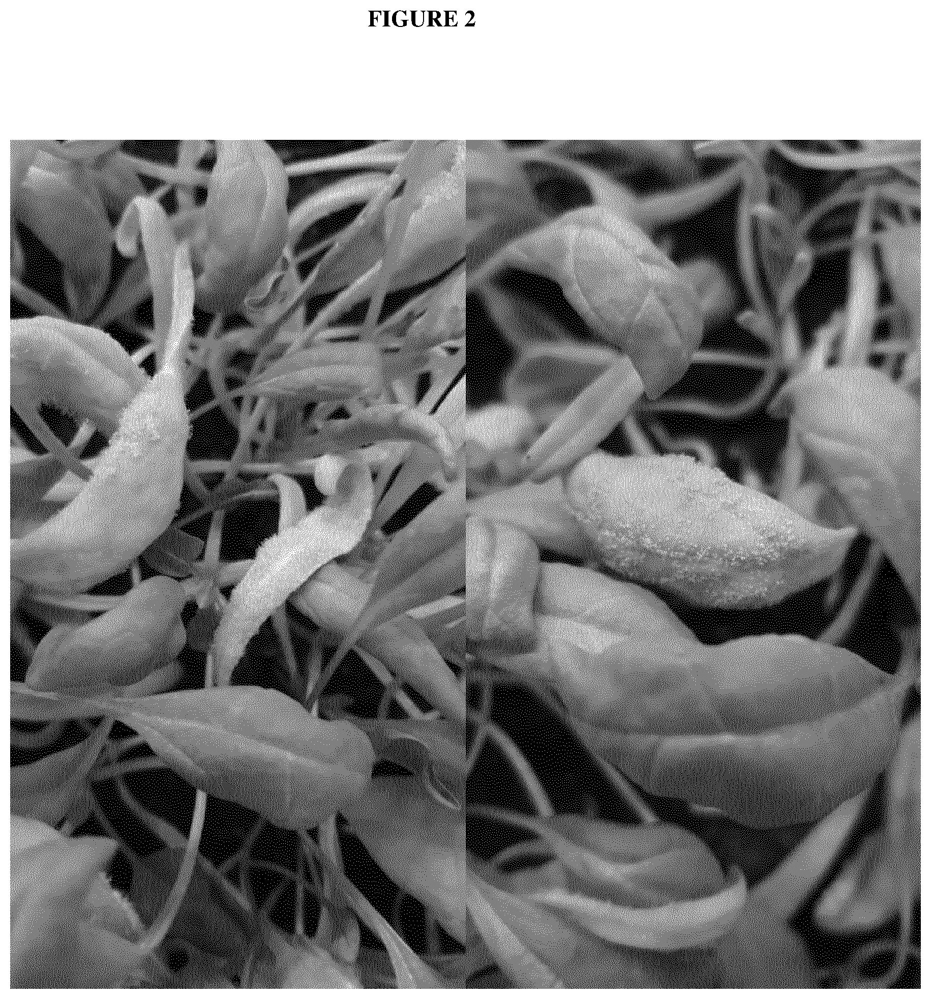 Patent US12616109 Figure 2 – Spinach plants resistant to Peronospora farinosa and Stemphylium vesicarium