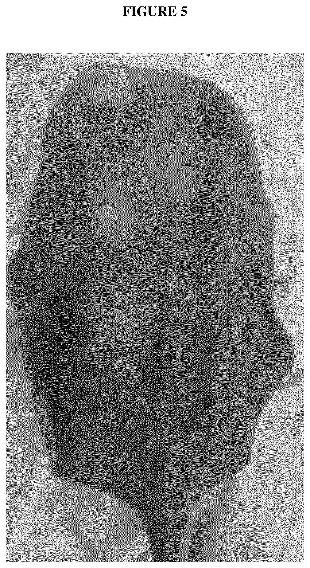 Patent US12616109 Figure 5 – Spinach plants resistant to Peronospora farinosa and Stemphylium vesicarium