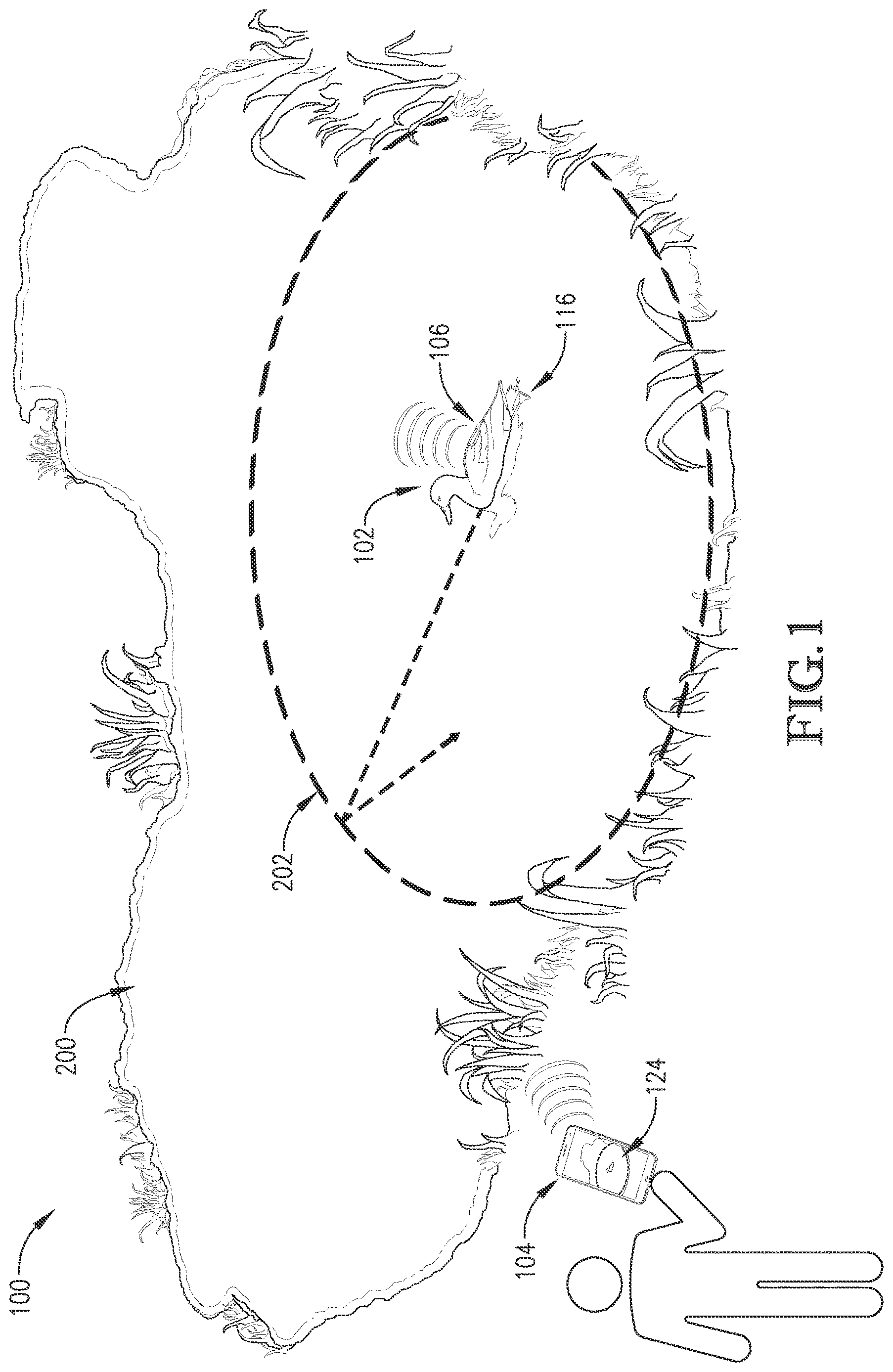 Patent US12616189 Figure 1 – Game decoy system