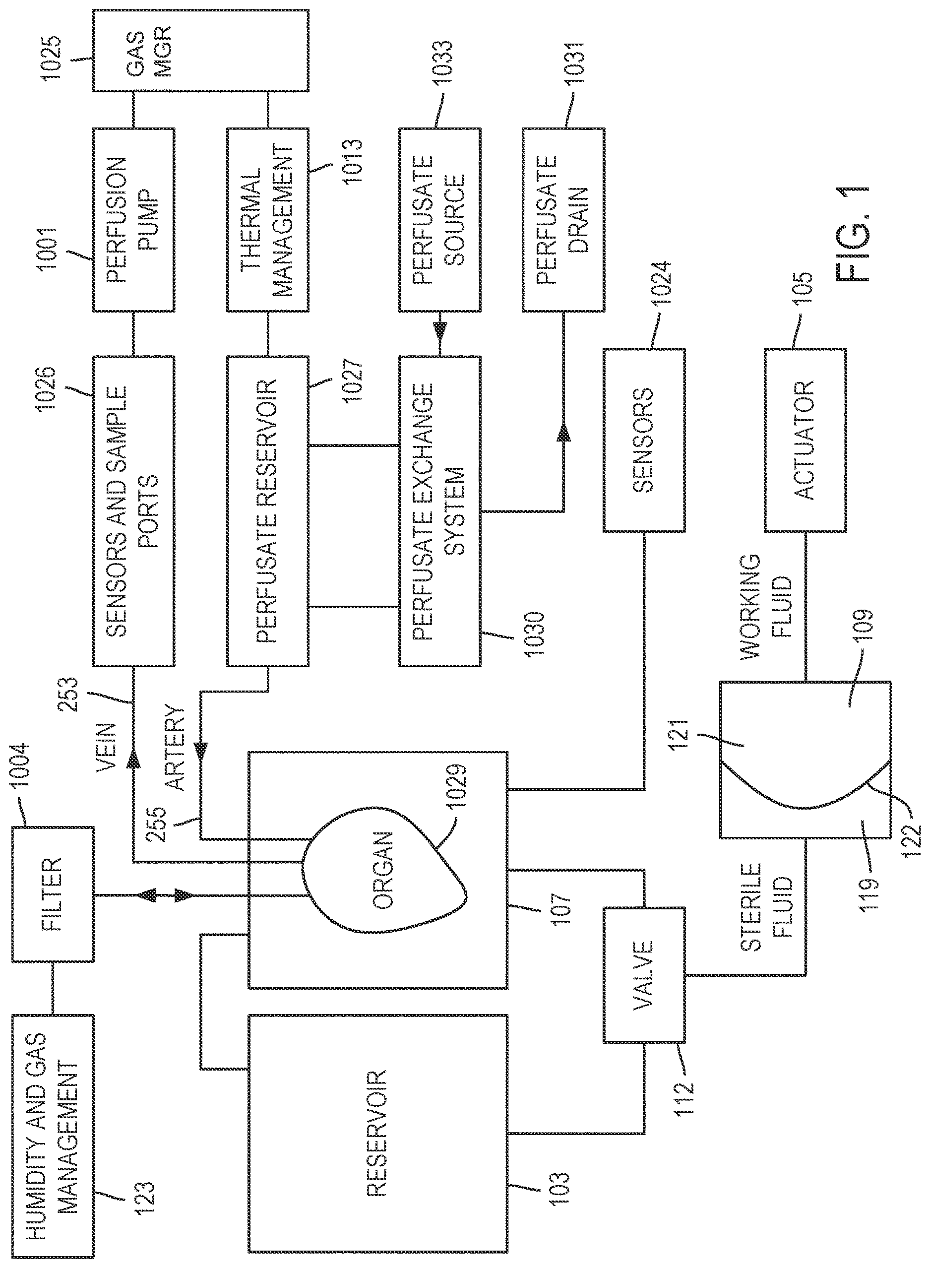 Patent US12616190 Figure 1 – System and method for ventilating an organ