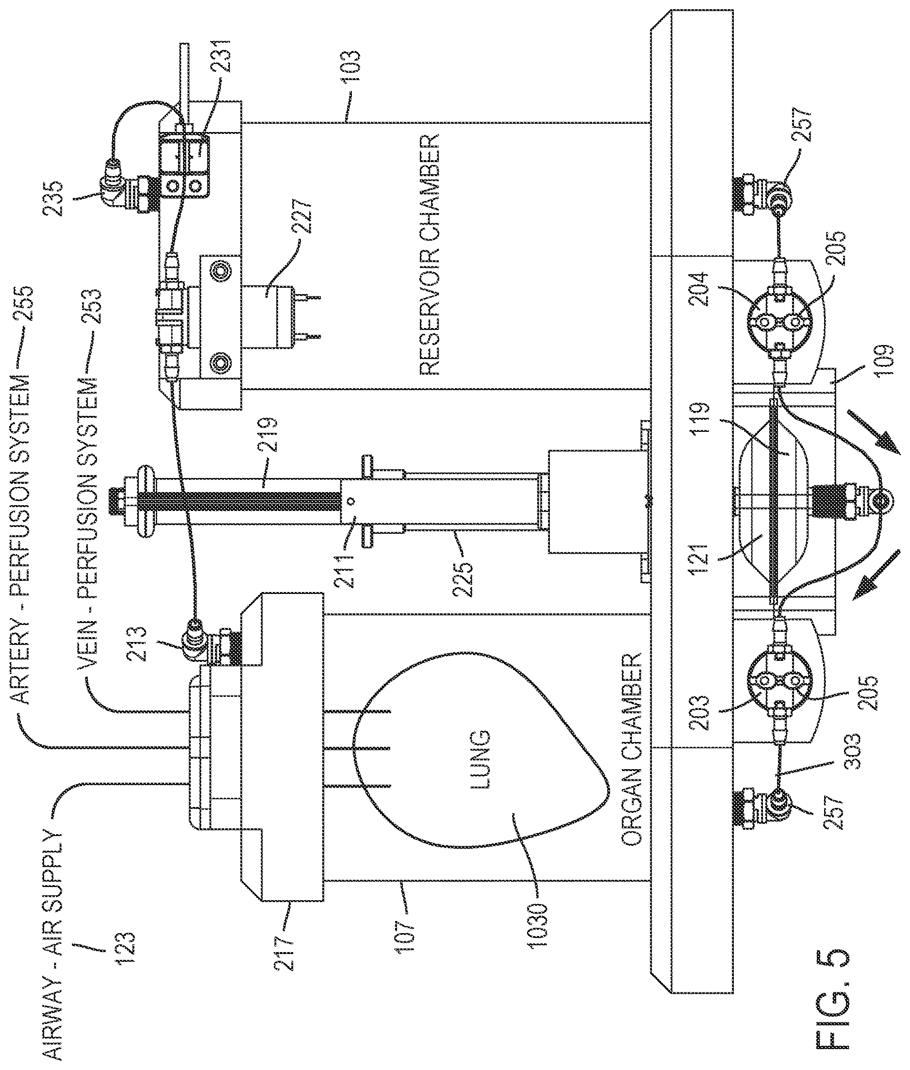 Patent US12616190 Figure 5 – System and method for ventilating an organ
