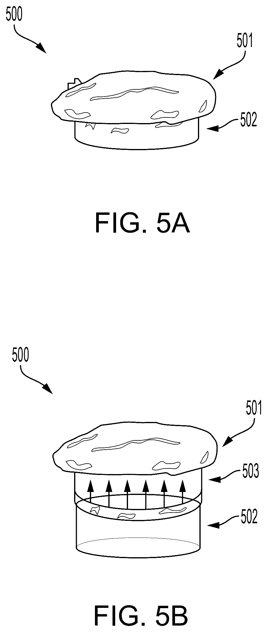 Patent US12616191 Figure 5 – Systems and methods for reversible cryopreservation