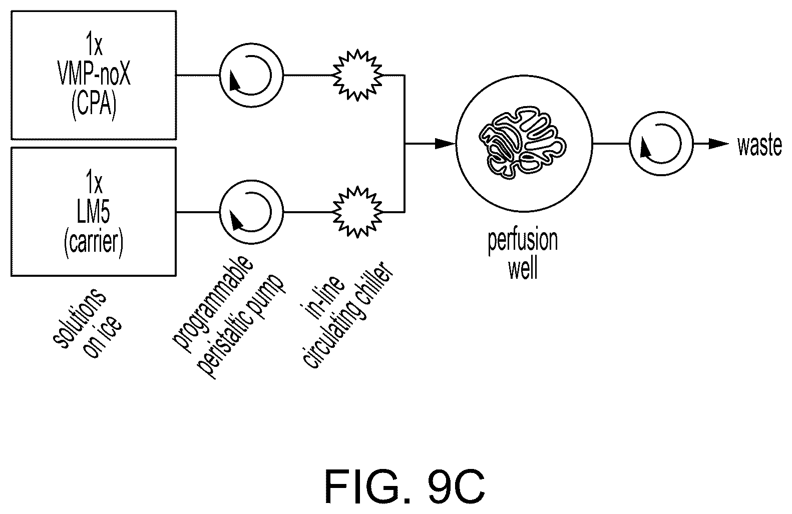 Patent US12616191 Figure 14 – Systems and methods for reversible cryopreservation