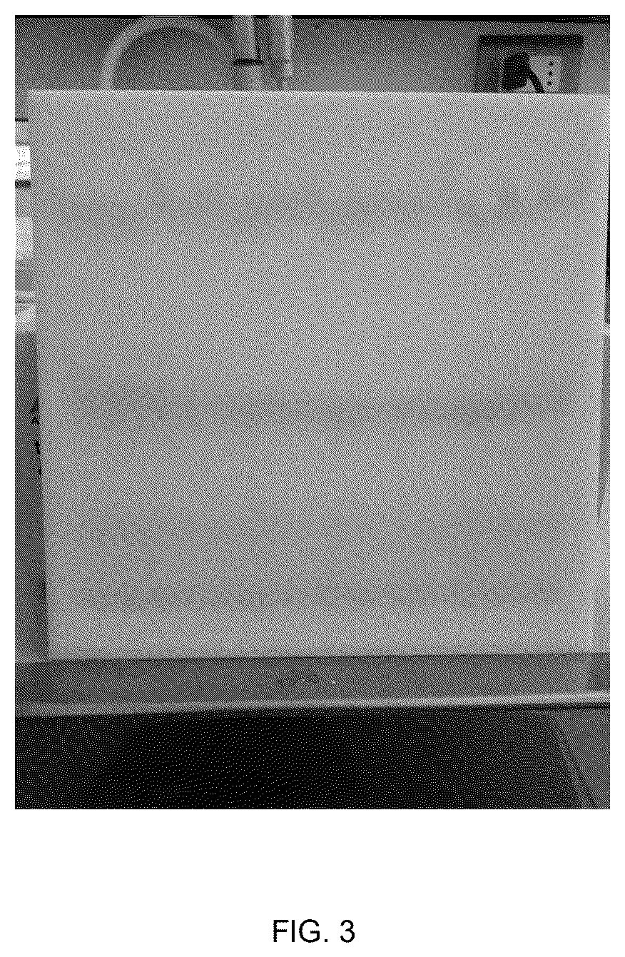 Patent US12616195 Figure 3 – Conjugates between a biopolymer and a photoactivated antimicrobial agent for combating fungal diseases of agricultural interest and methods for producing said conjugates
