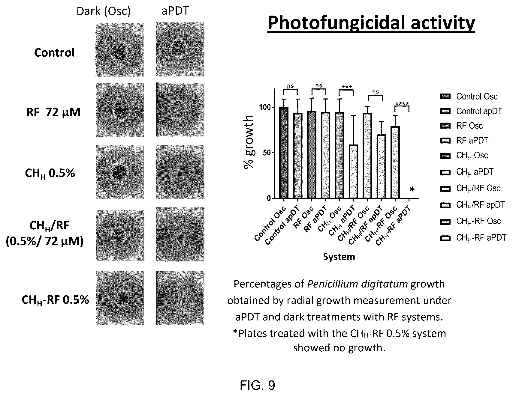 Patent US12616195 Figure 9 – Conjugates between a biopolymer and a photoactivated antimicrobial agent for combating fungal diseases of agricultural interest and methods for producing said conjugates