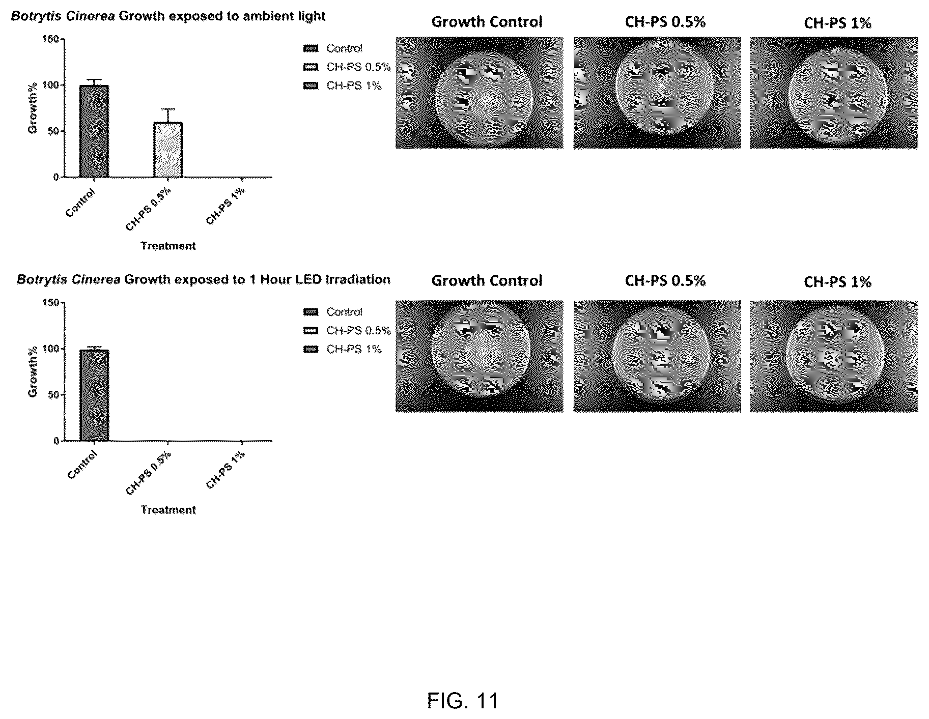 Patent US12616195 Figure 11 – Conjugates between a biopolymer and a photoactivated antimicrobial agent for combating fungal diseases of agricultural interest and methods for producing said conjugates