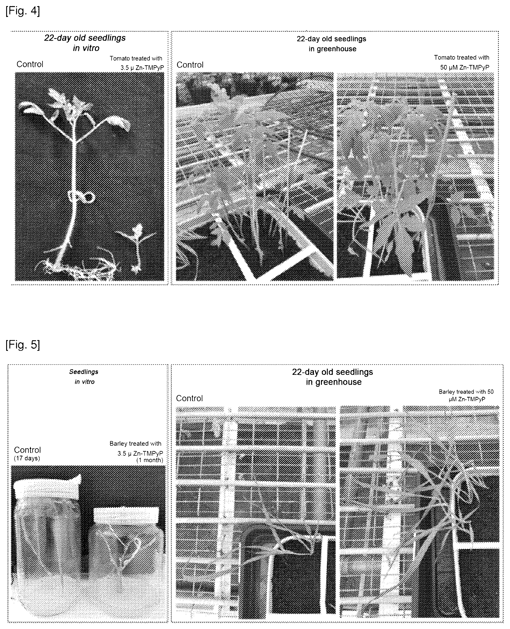 Patent US12616204 Figure 4 – Use of cationic porphyrins as selective herbicide