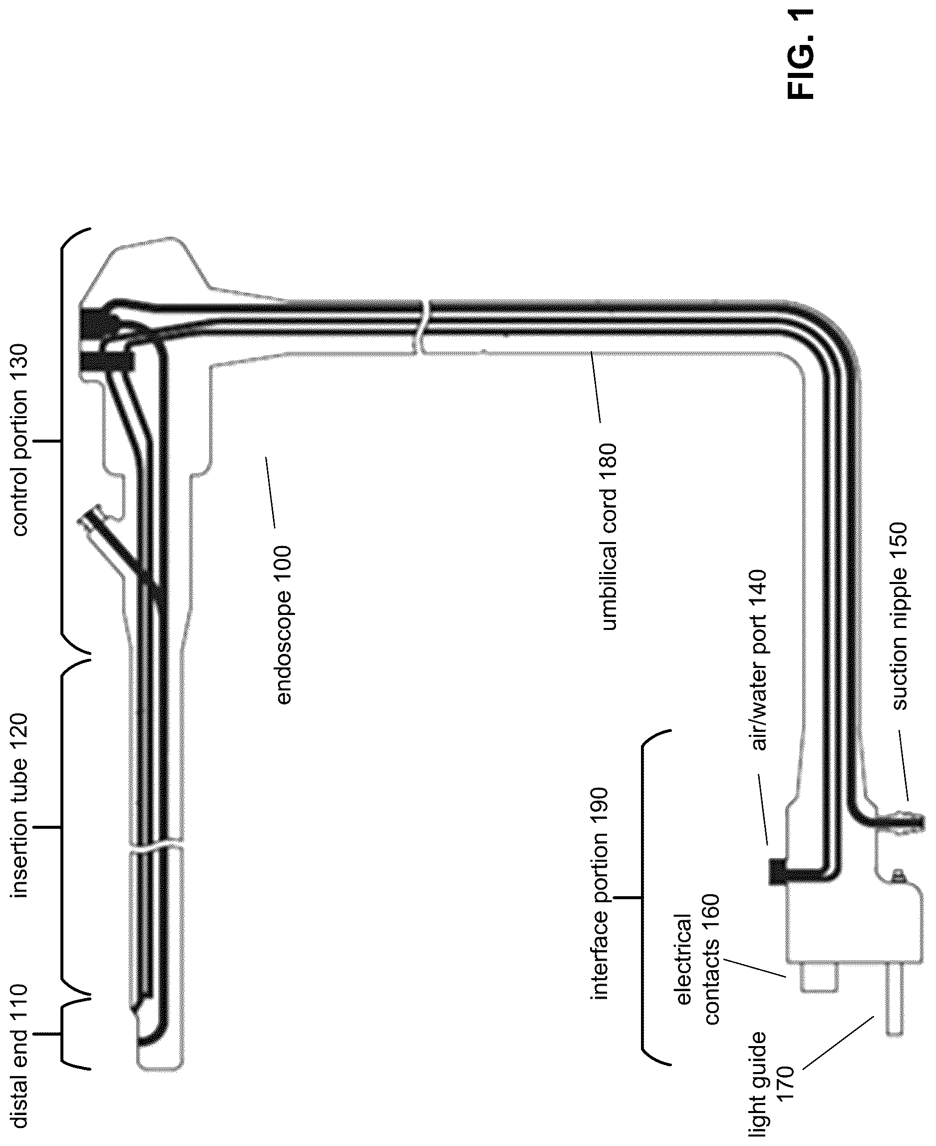 Patent US12616205 Figure 1 – Silver-ion-impregnated channel for endoscope, endoscope including silver-ion-impregnated channel, and methods of cleaning and reprocessing such endoscope