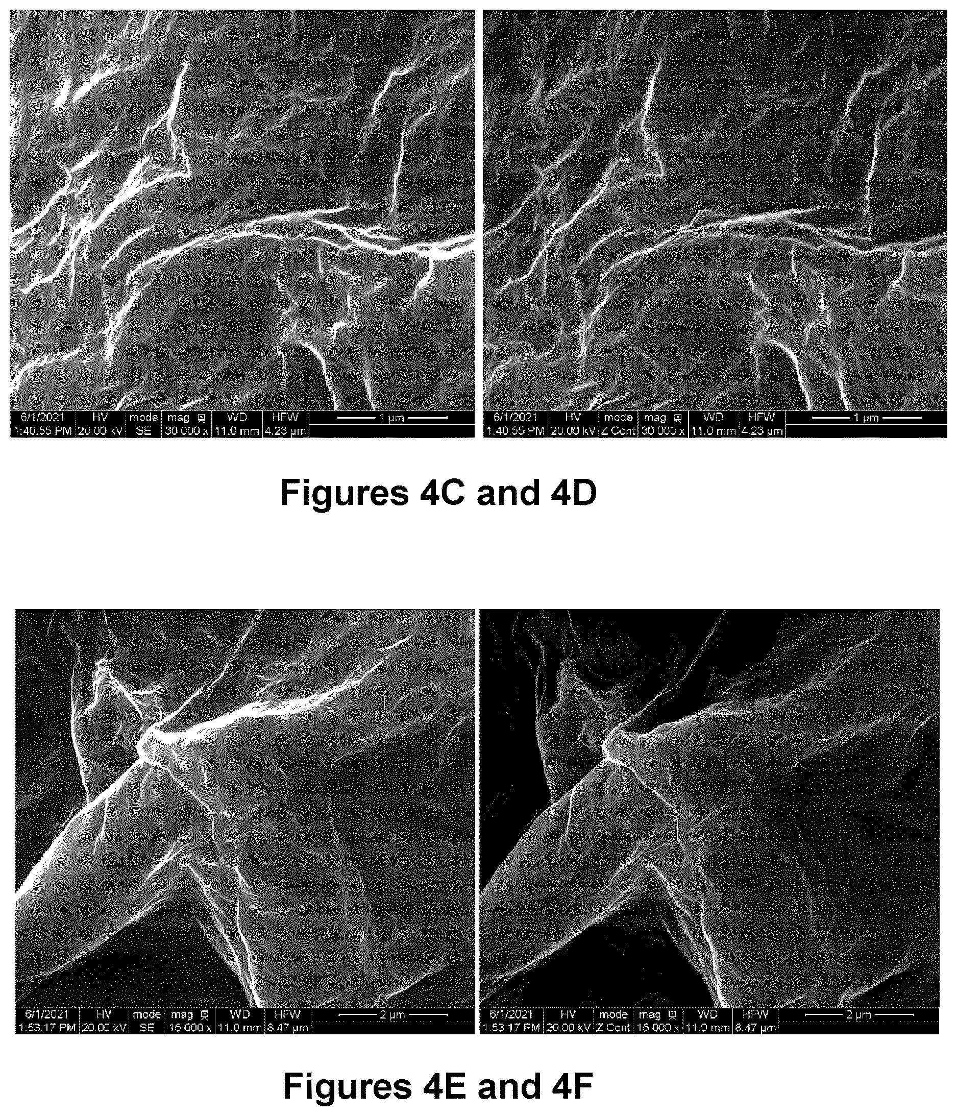 Patent US12616206 Figure 4 – Graphene-silver nanocomposites and uses for same as an antimicrobial composition
