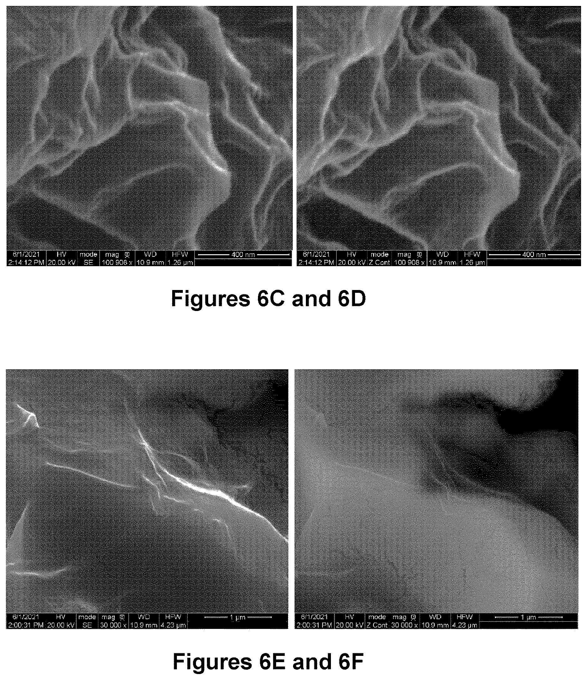 Patent US12616206 Figure 8 – Graphene-silver nanocomposites and uses for same as an antimicrobial composition