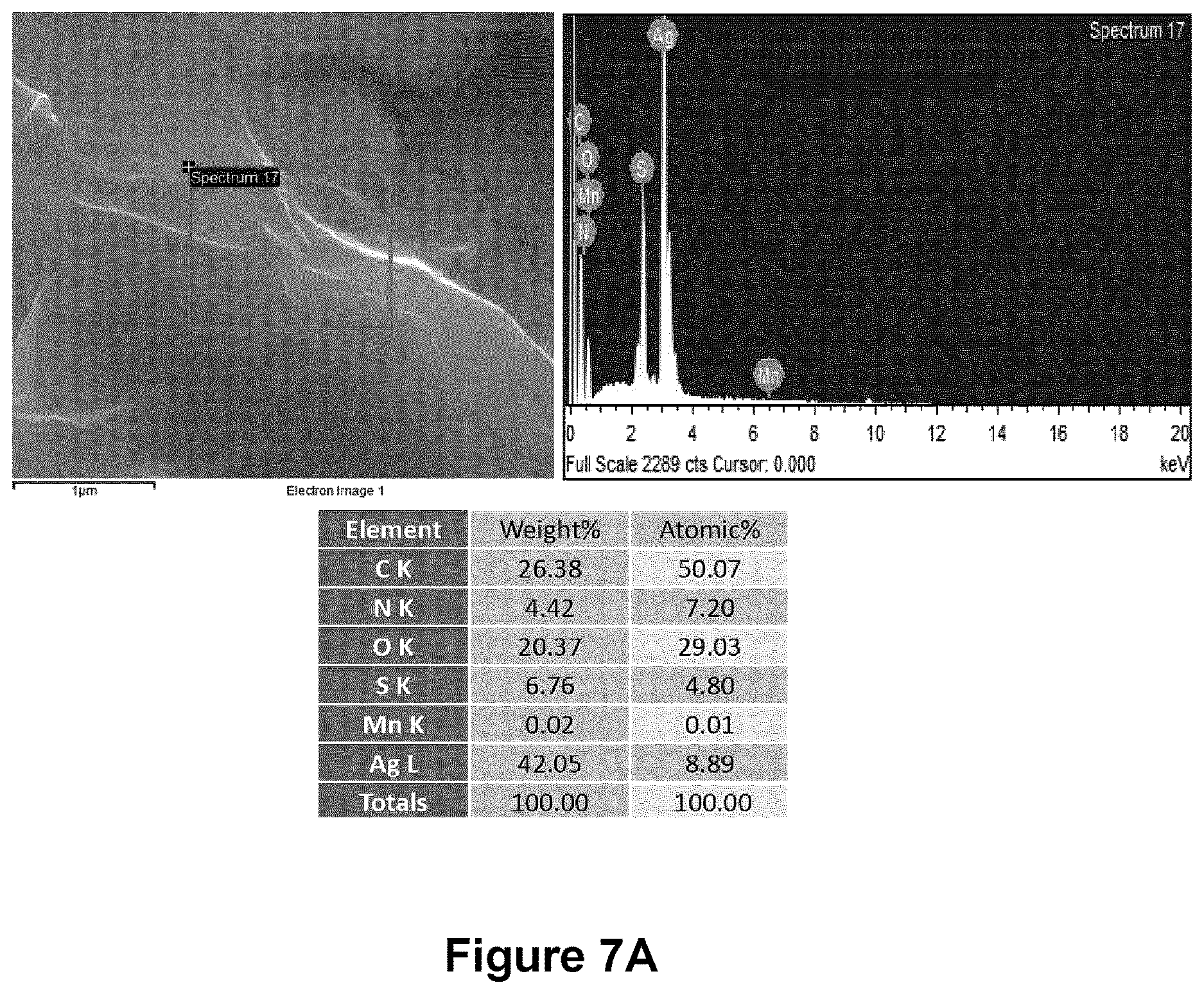 Patent US12616206 Figure 9 – Graphene-silver nanocomposites and uses for same as an antimicrobial composition