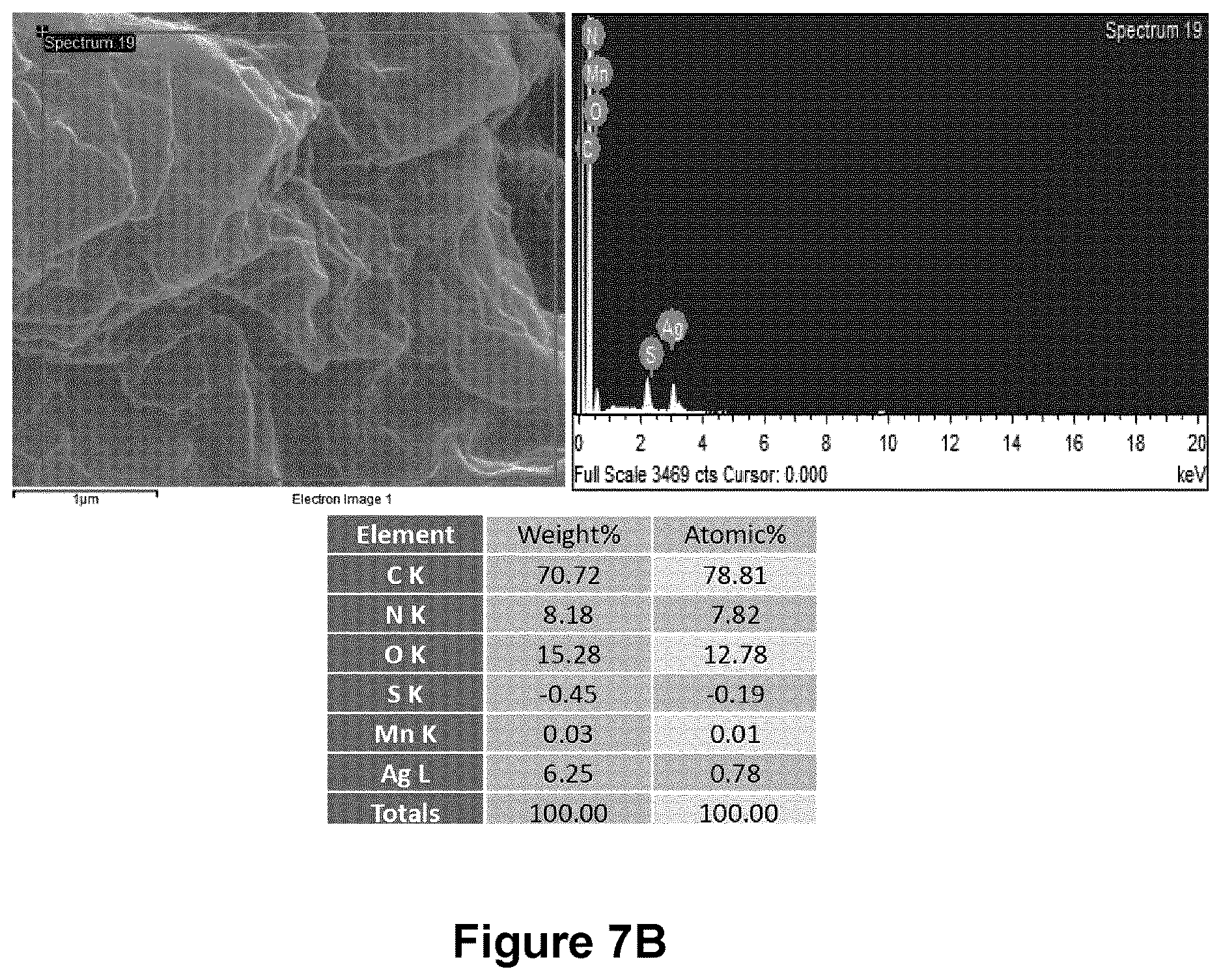 Patent US12616206 Figure 10 – Graphene-silver nanocomposites and uses for same as an antimicrobial composition