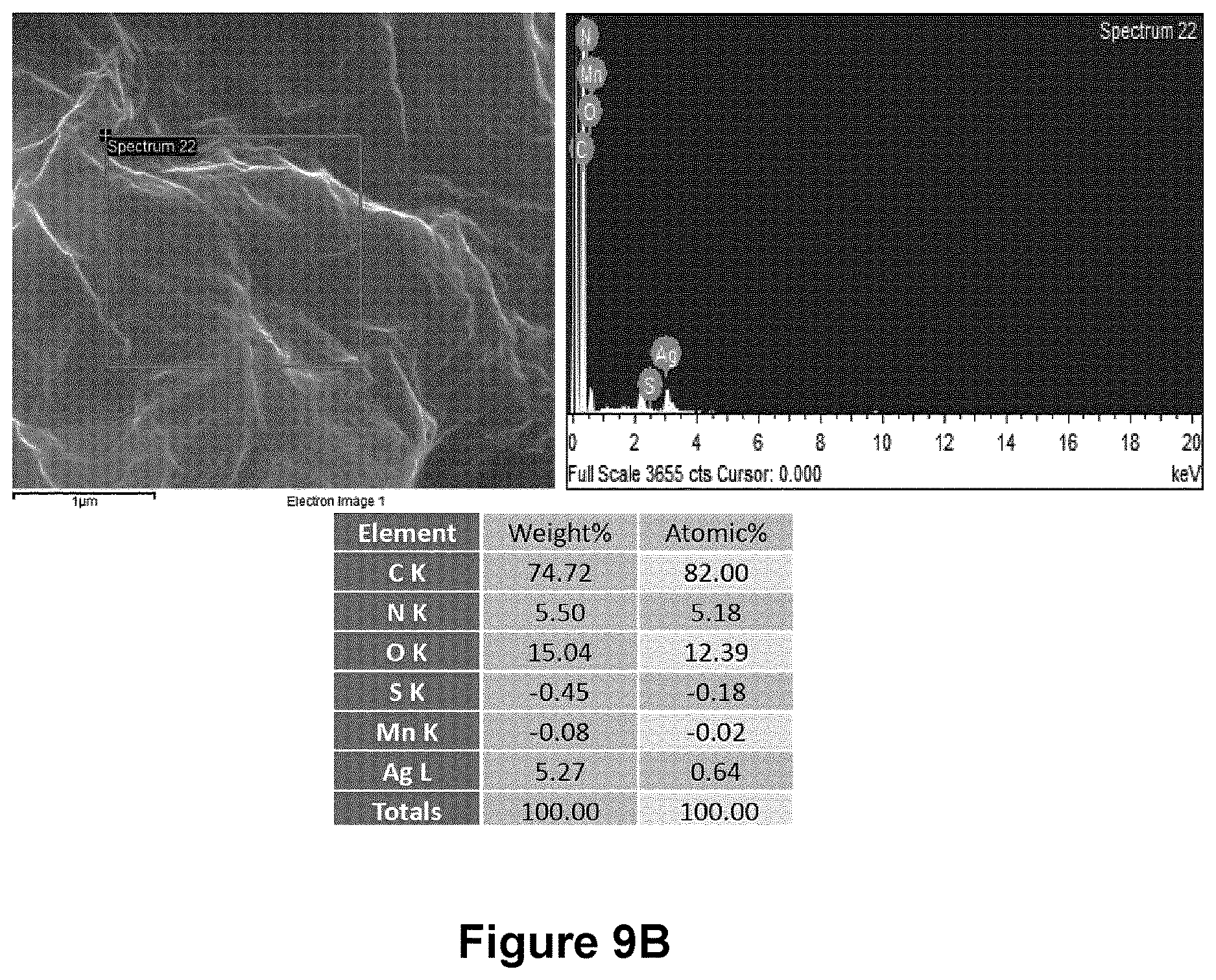 Patent US12616206 Figure 13 – Graphene-silver nanocomposites and uses for same as an antimicrobial composition