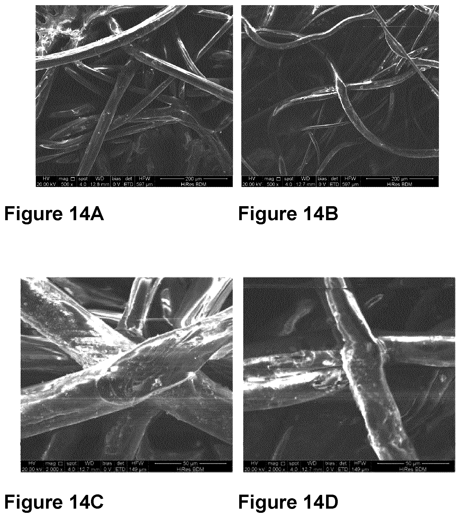 Patent US12616206 Figure 18 – Graphene-silver nanocomposites and uses for same as an antimicrobial composition