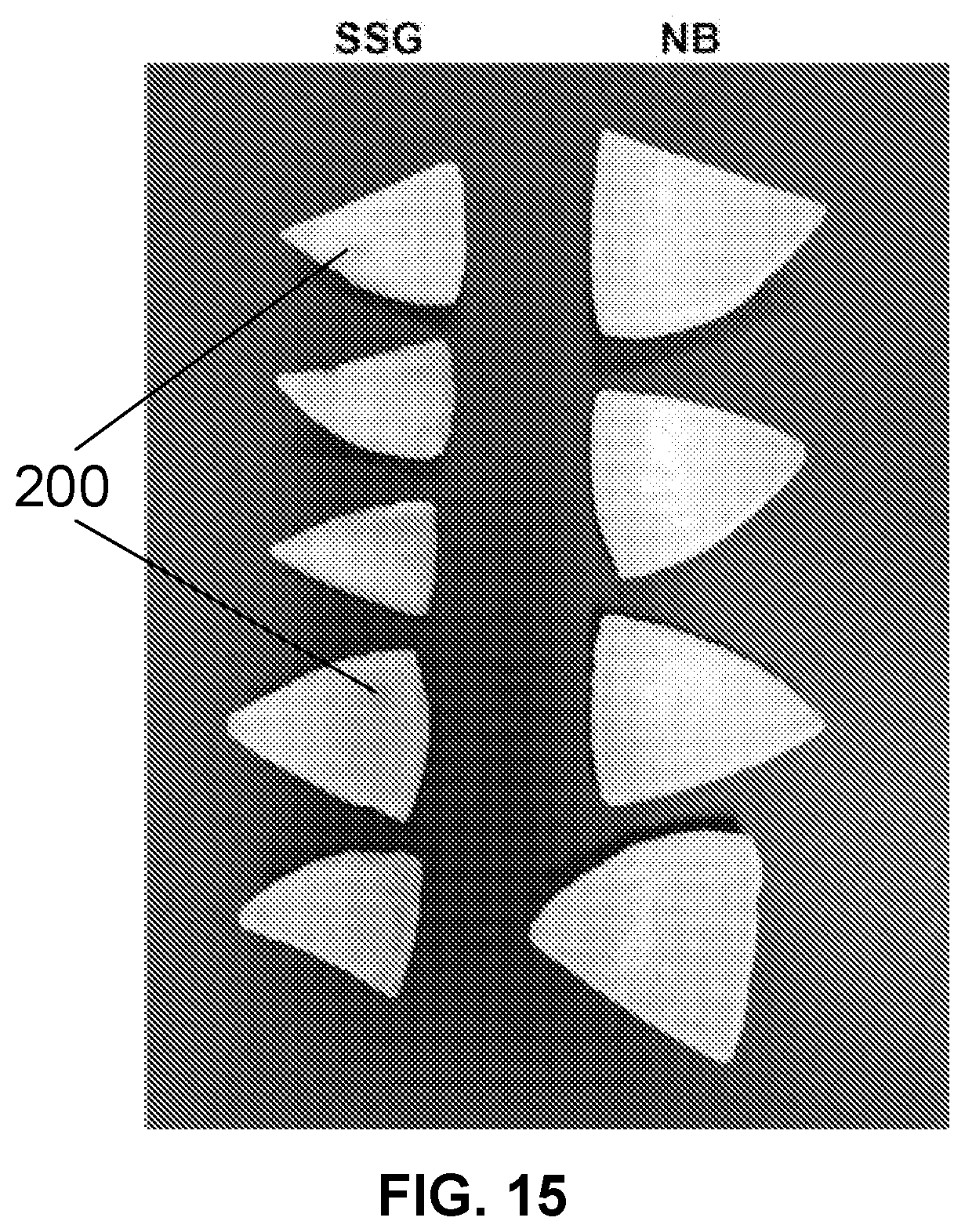 Patent US12616207 Figure 14 – Boxwood endophyte Burkholderia sp SSG as potential biocontrol agent against a wide range of pathogens