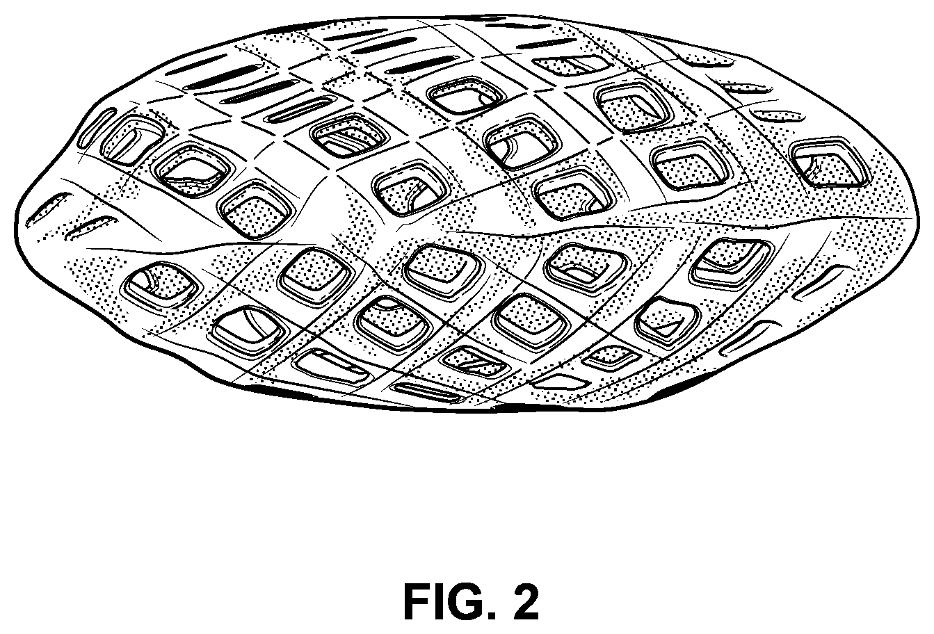 Patent US12616214 Figure 2 – Vegetable containing snack product