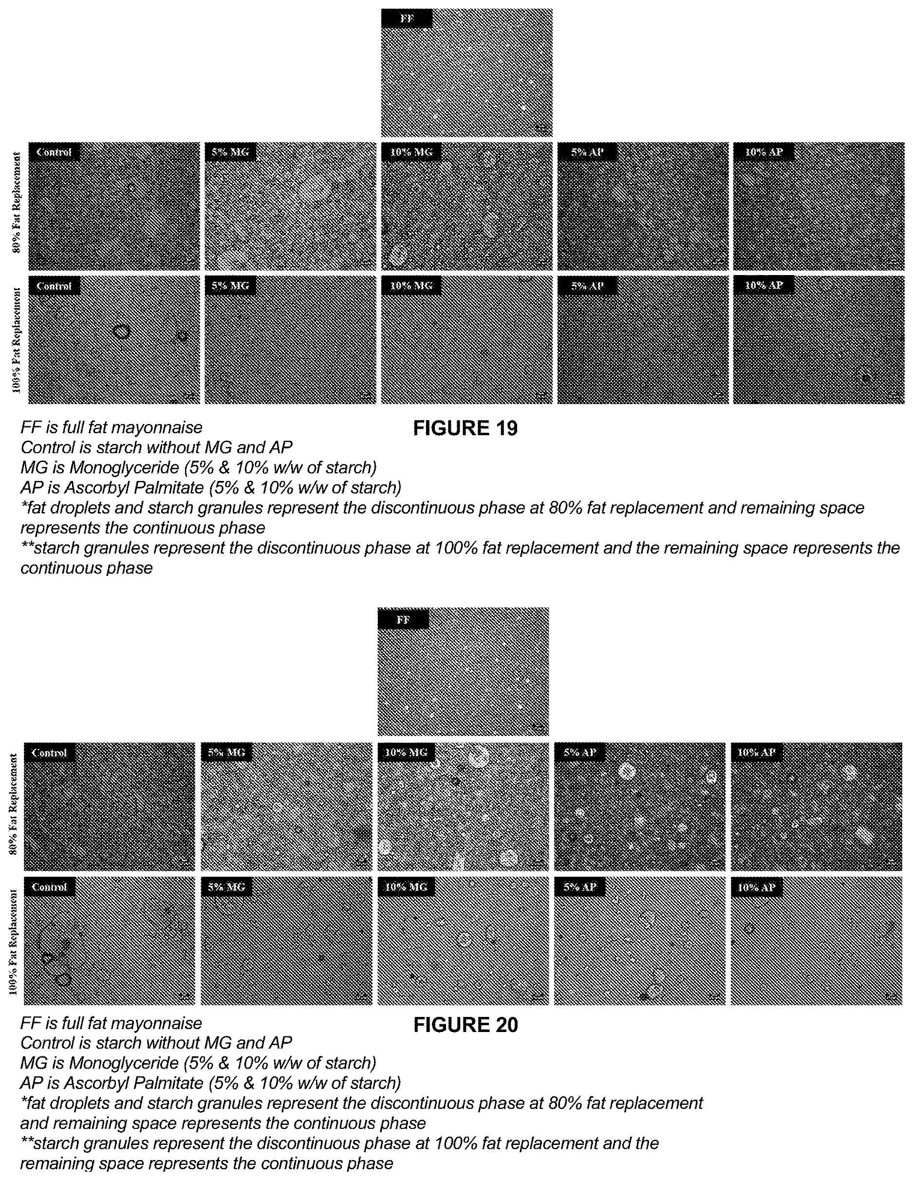Patent US12616221 Figure 10 – Lipid-modified starches