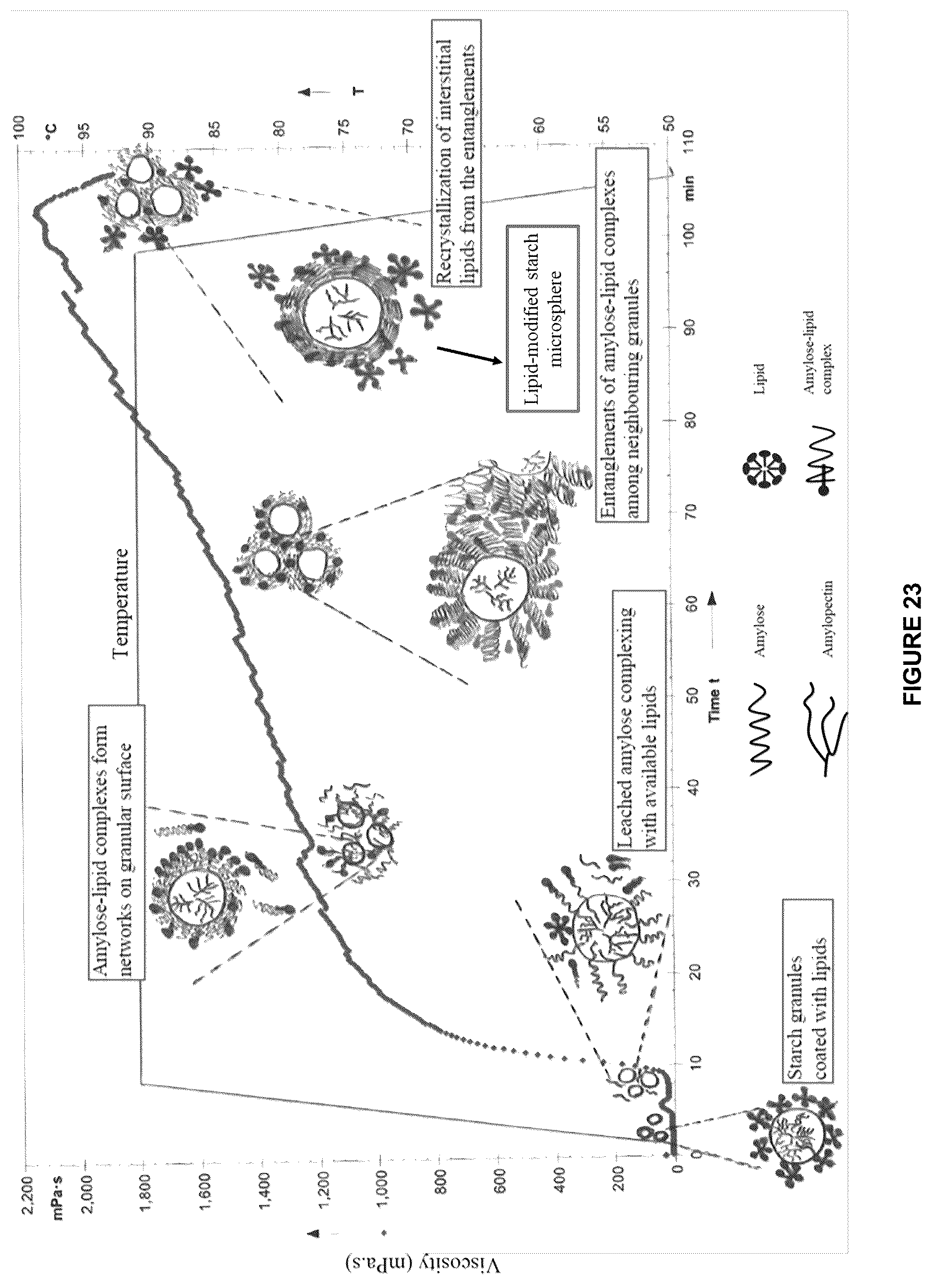 Patent US12616221 Figure 12 – Lipid-modified starches