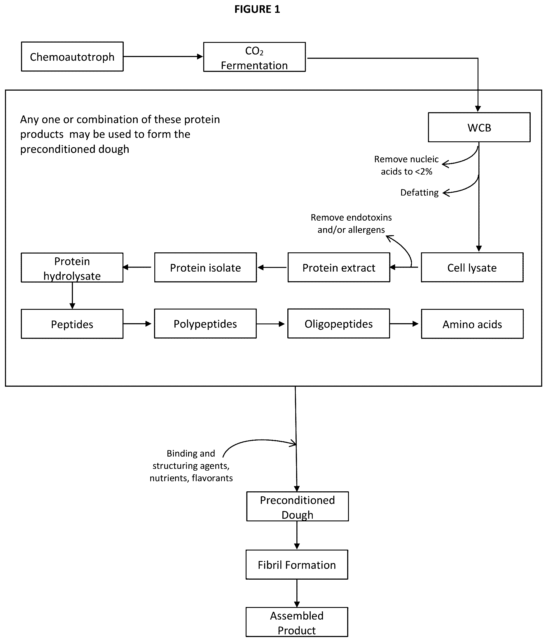 Patent US12616224 — Structured high-protein meat analogue compositions — Figure 1