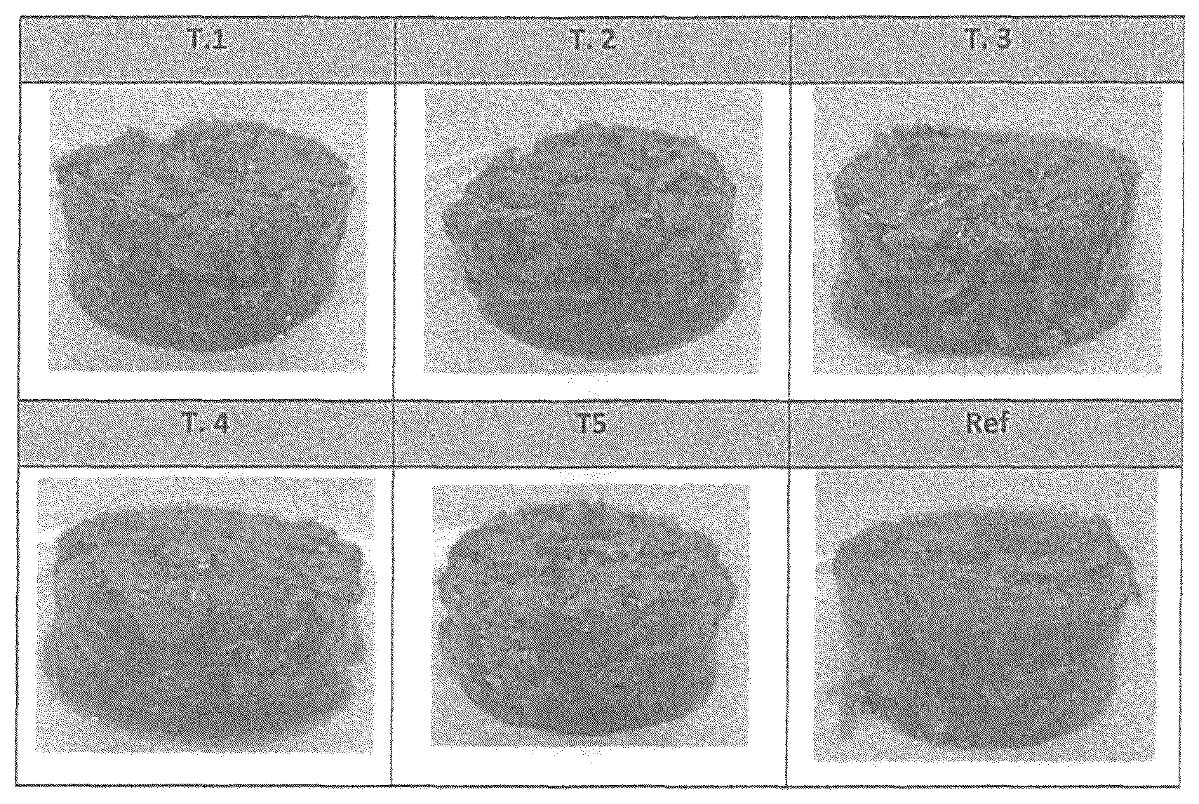 Patent US12616225 Figure 1 – Petfood composition and process for preparation thereof