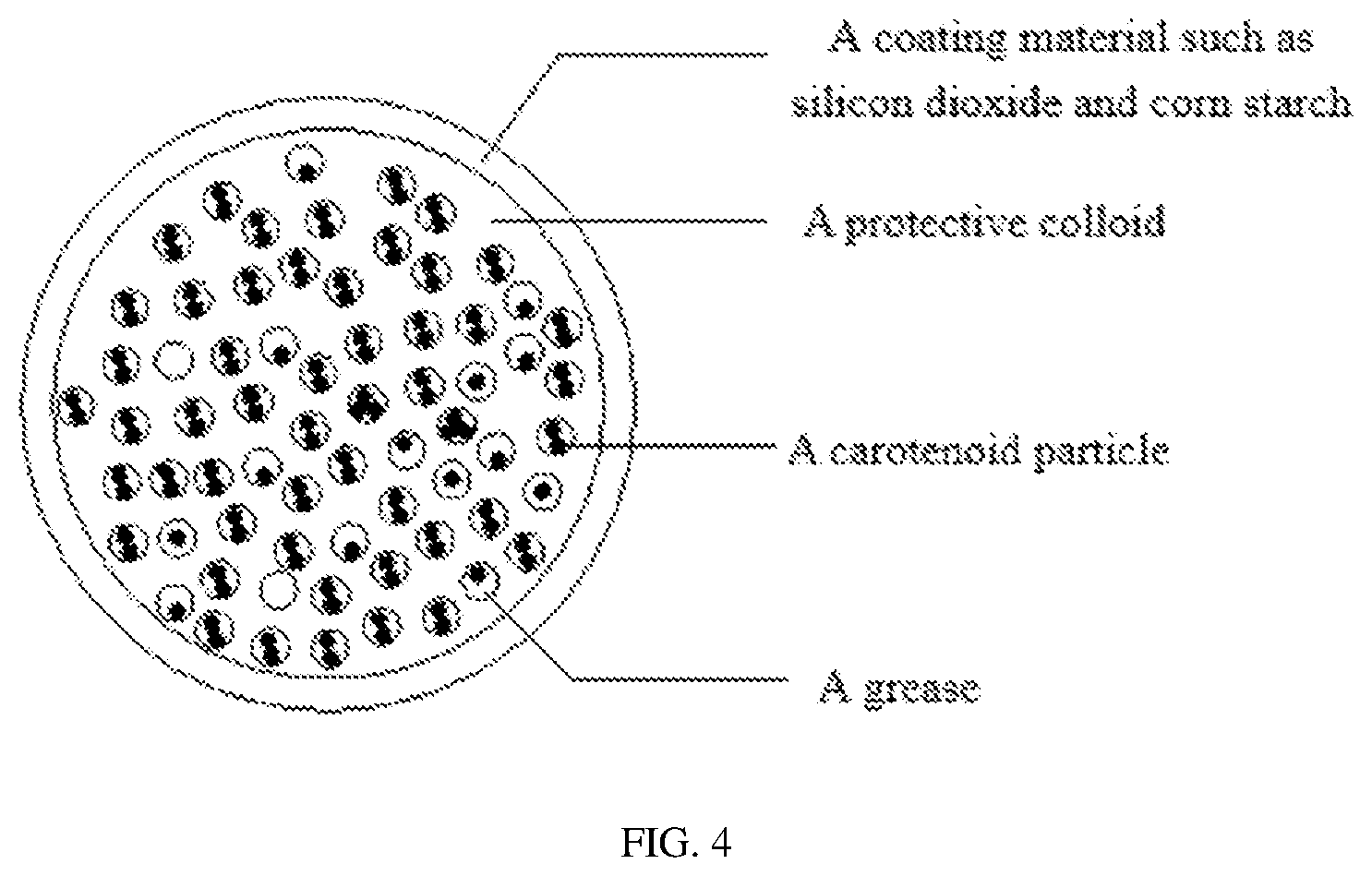 Patent US12616227 Figure 4 – Stable carotenoid microcapsule having high bioavailability and preparation method therefor