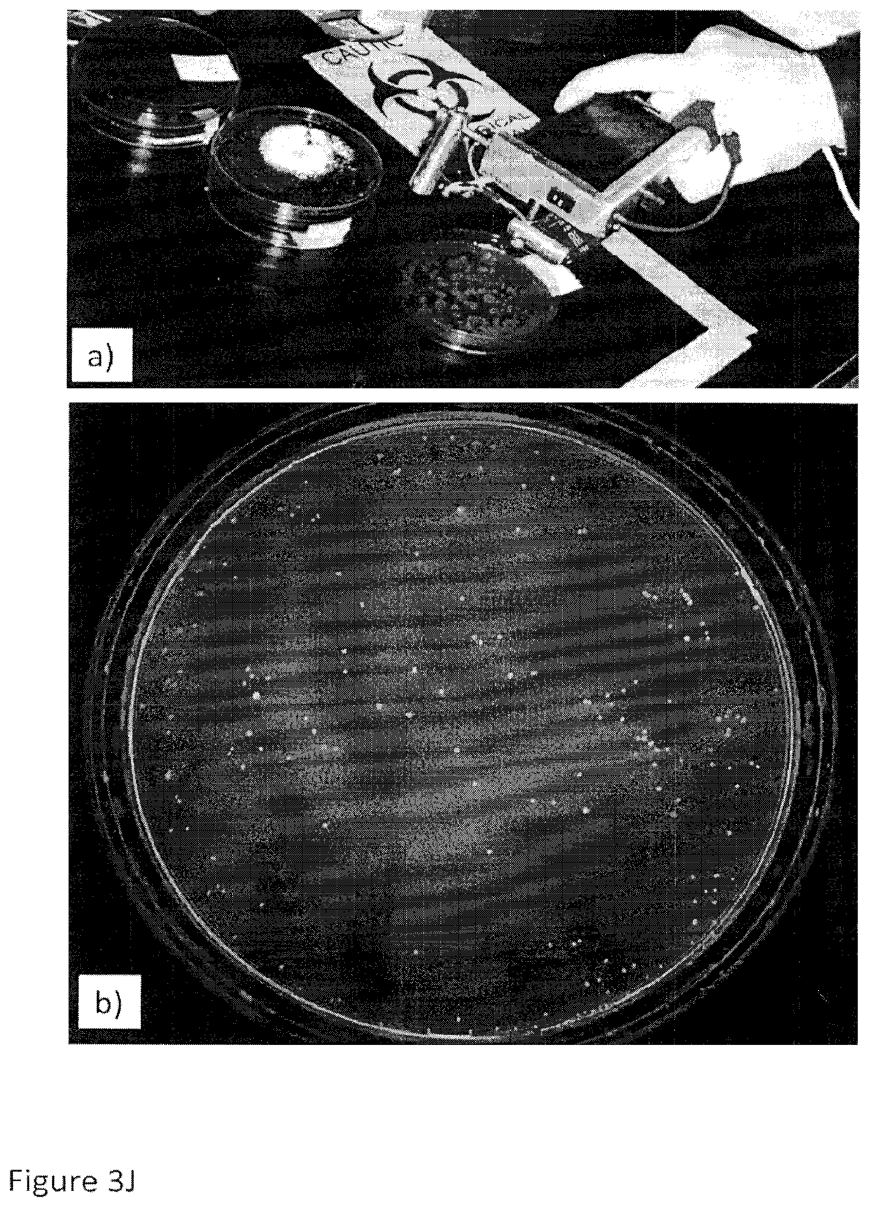 Patent US12616372 Figure 5 – Devices, methods, and systems for fluorescence-based imaging and detection of location(s) and/or source(s) of potential contamination and/or pollution