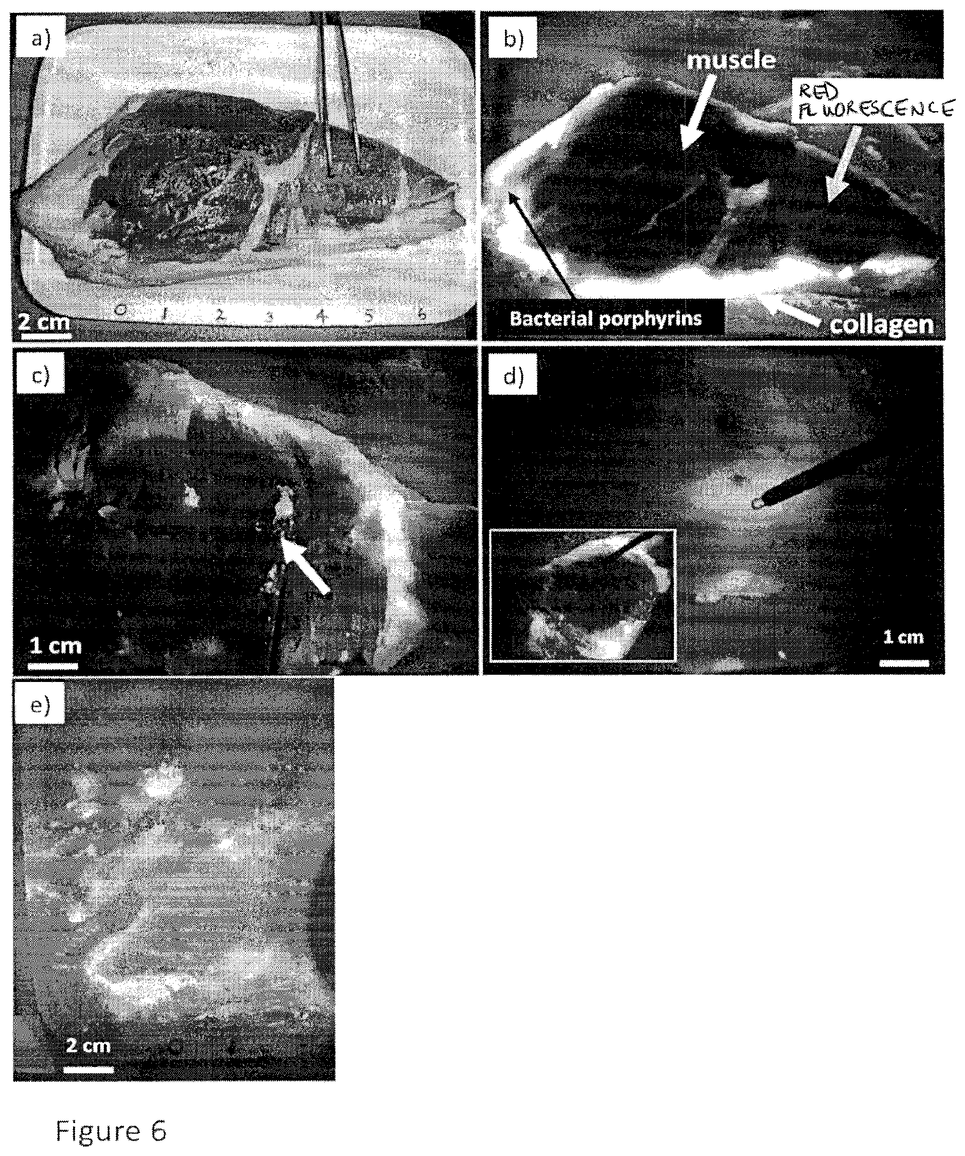 Patent US12616372 Figure 8 – Devices, methods, and systems for fluorescence-based imaging and detection of location(s) and/or source(s) of potential contamination and/or pollution