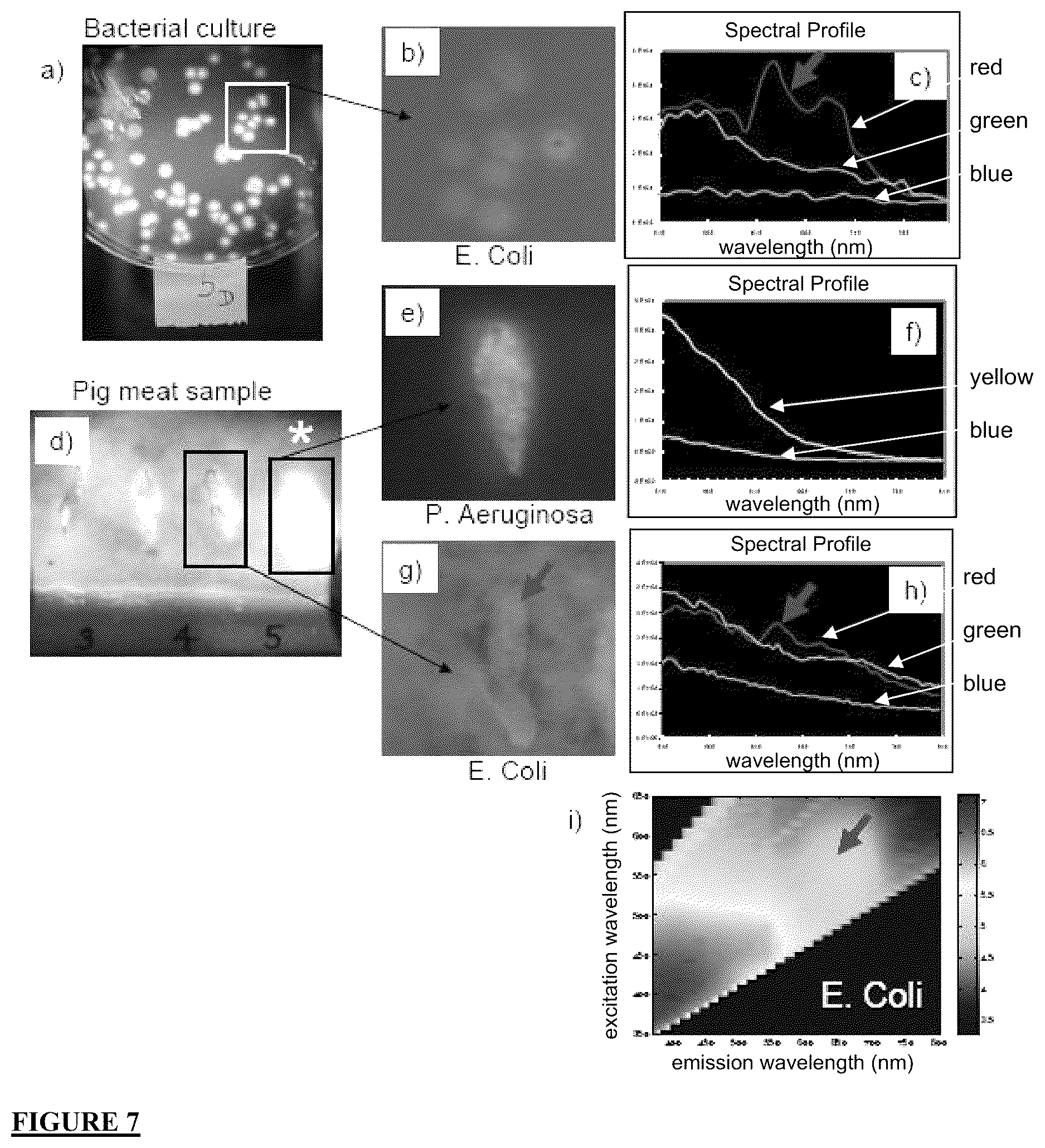 Patent US12616372 Figure 9 – Devices, methods, and systems for fluorescence-based imaging and detection of location(s) and/or source(s) of potential contamination and/or pollution