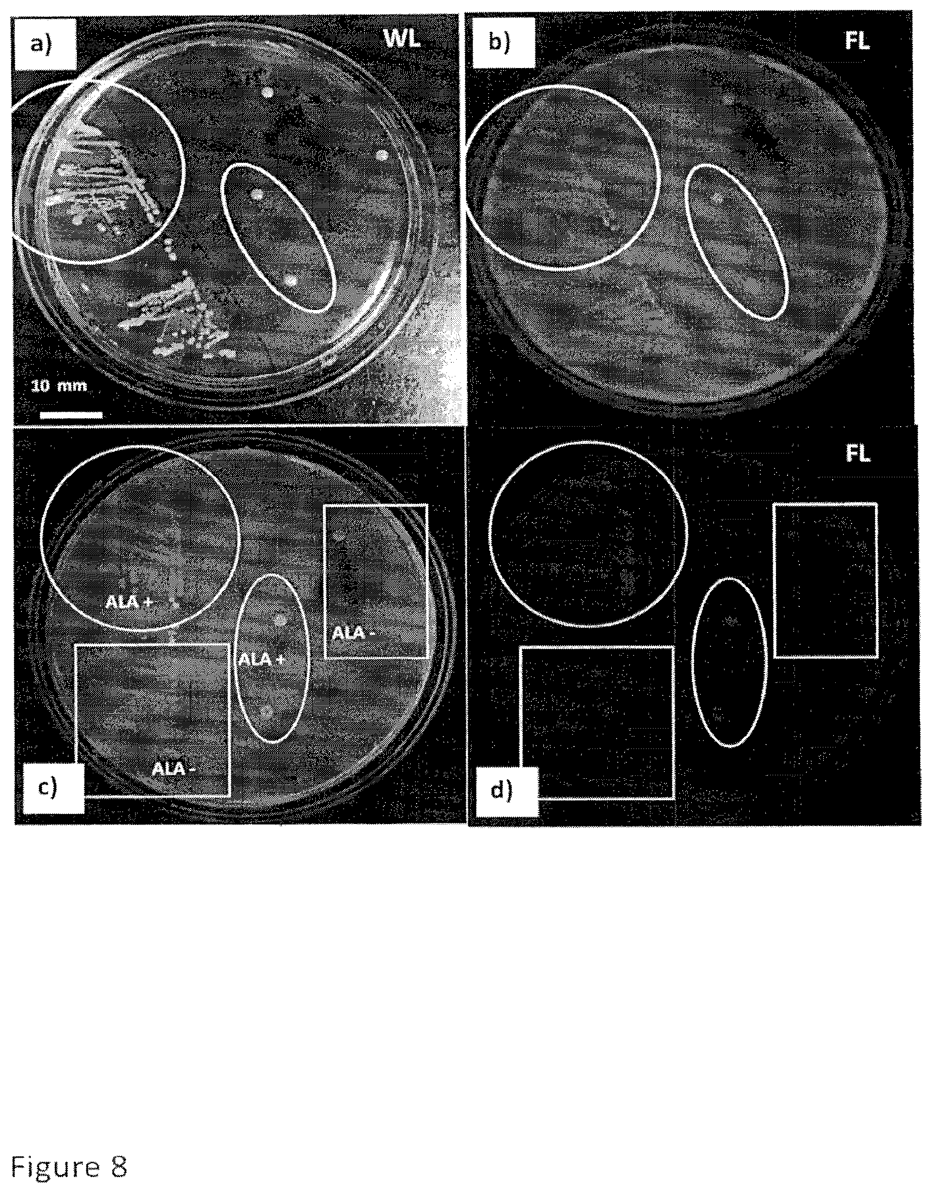 Patent US12616372 Figure 10 – Devices, methods, and systems for fluorescence-based imaging and detection of location(s) and/or source(s) of potential contamination and/or pollution