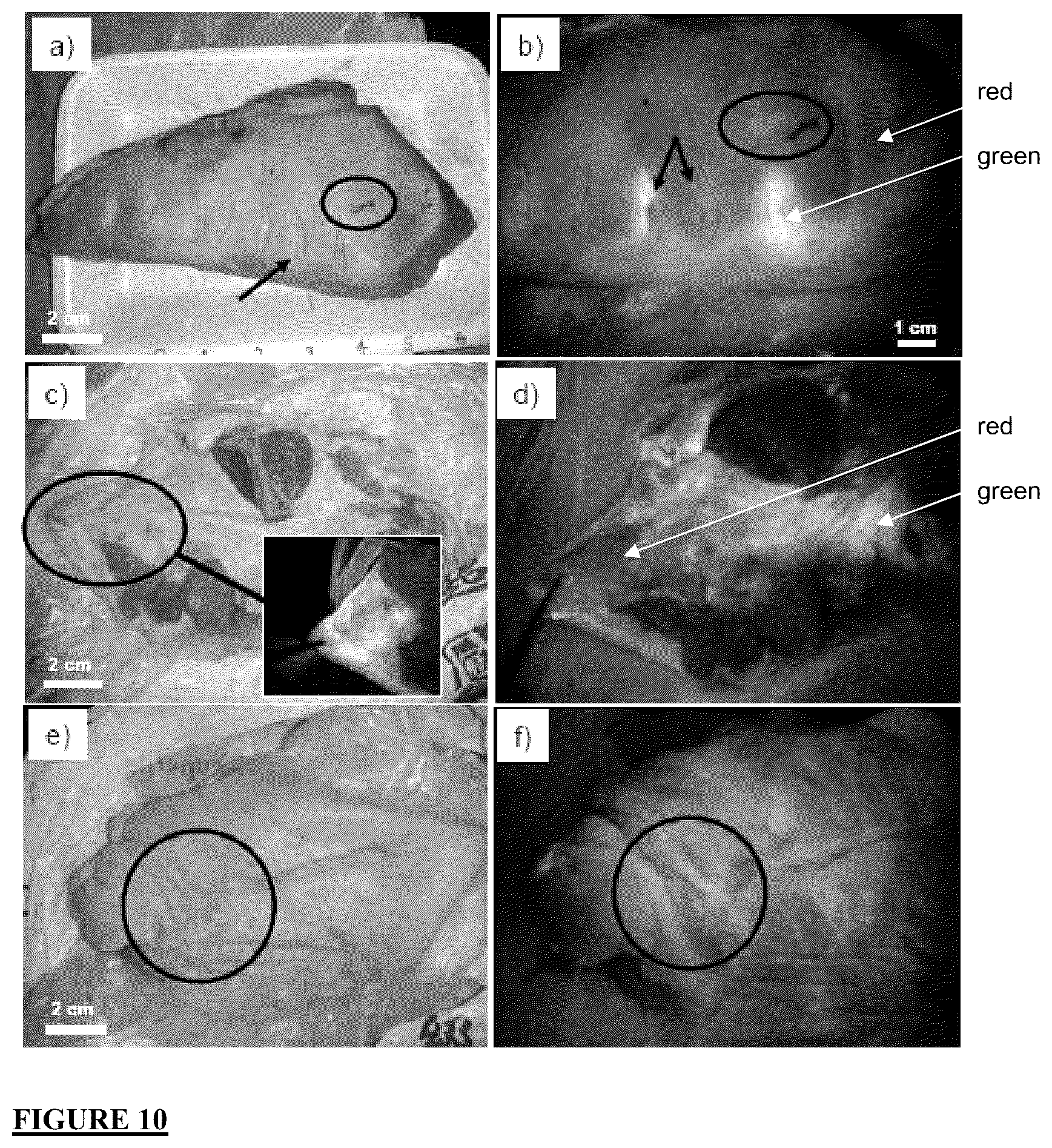 Patent US12616372 Figure 12 – Devices, methods, and systems for fluorescence-based imaging and detection of location(s) and/or source(s) of potential contamination and/or pollution