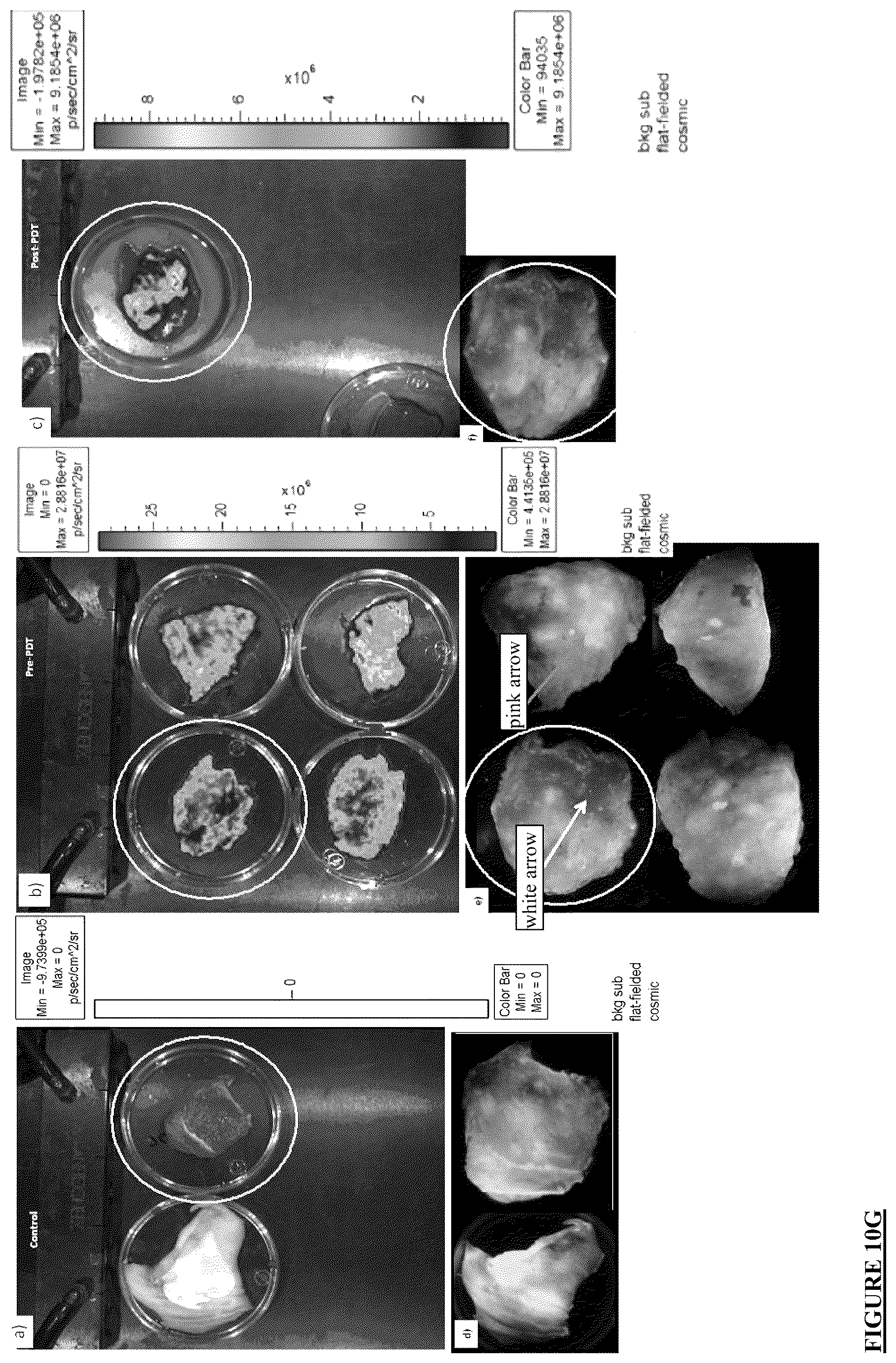 Patent US12616372 Figure 13 – Devices, methods, and systems for fluorescence-based imaging and detection of location(s) and/or source(s) of potential contamination and/or pollution