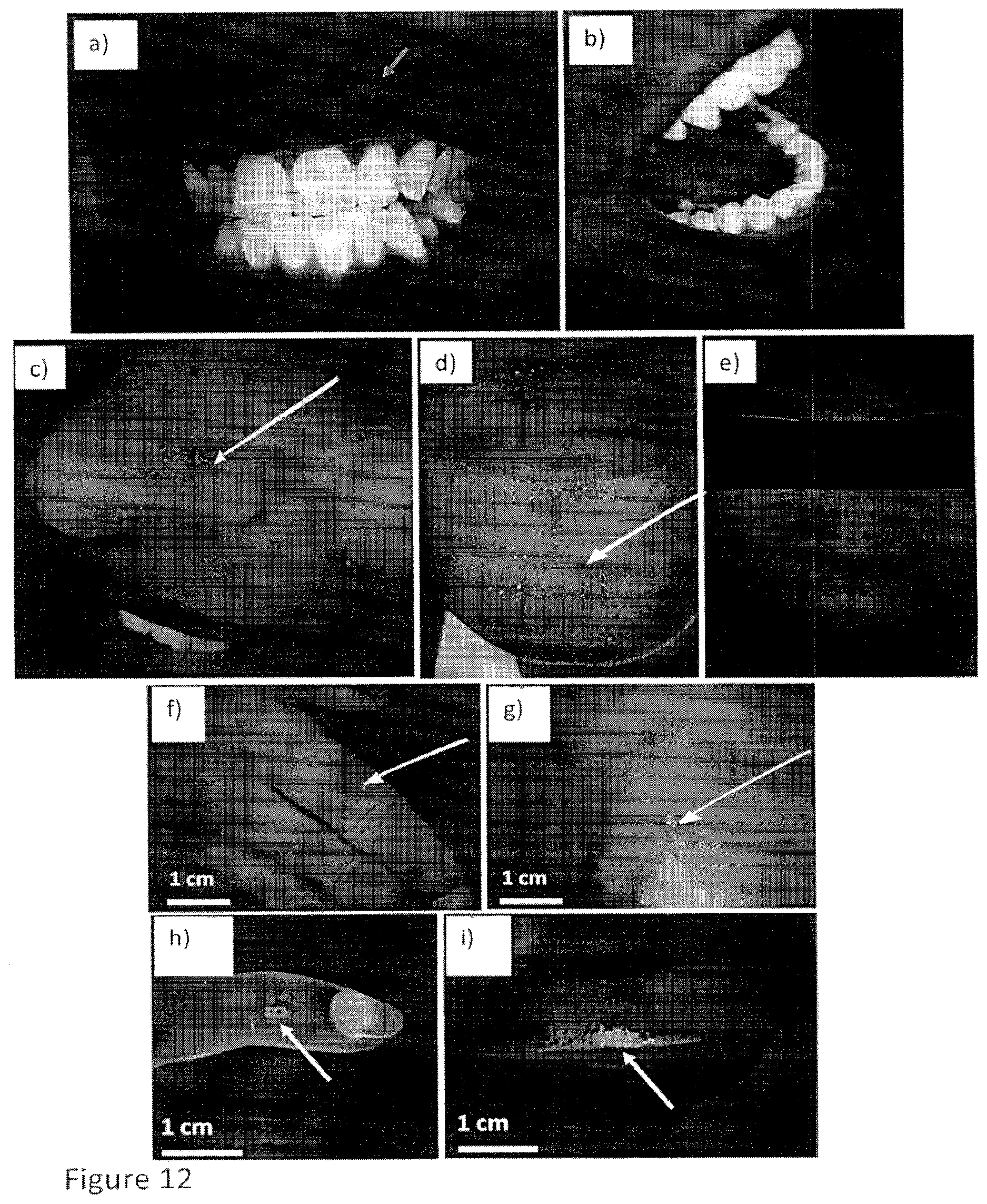 Patent US12616372 Figure 15 – Devices, methods, and systems for fluorescence-based imaging and detection of location(s) and/or source(s) of potential contamination and/or pollution