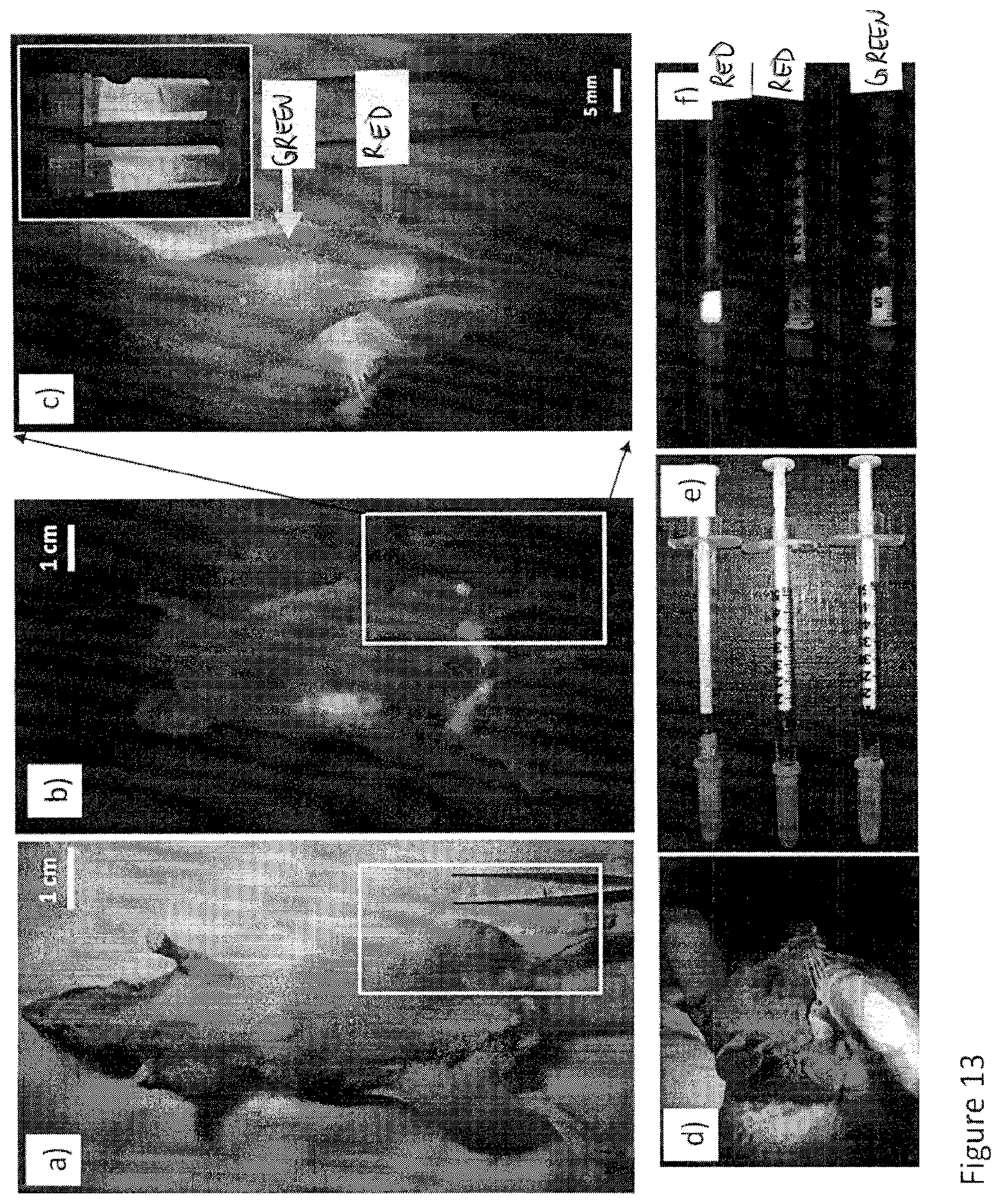 Patent US12616372 Figure 17 – Devices, methods, and systems for fluorescence-based imaging and detection of location(s) and/or source(s) of potential contamination and/or pollution