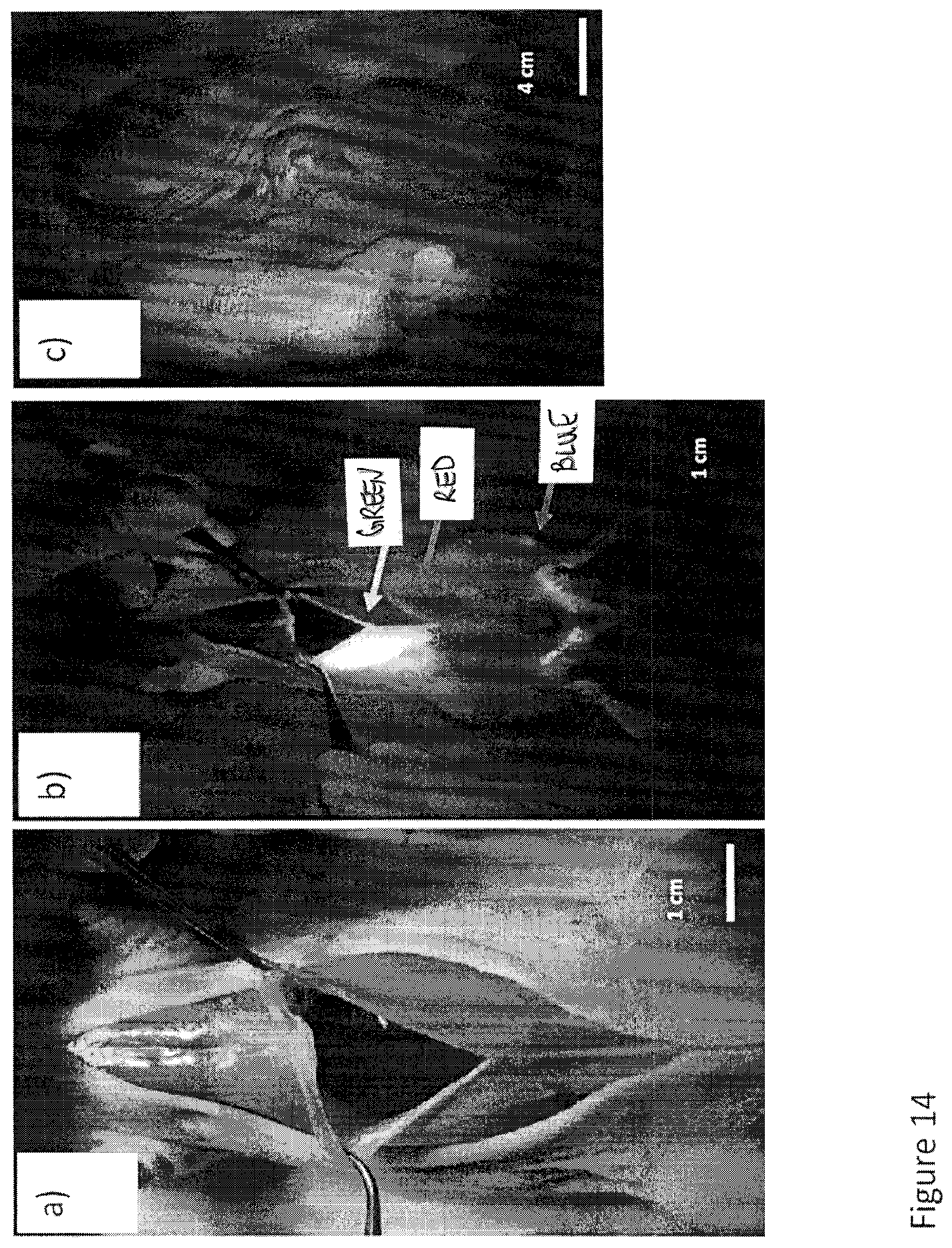 Patent US12616372 Figure 18 – Devices, methods, and systems for fluorescence-based imaging and detection of location(s) and/or source(s) of potential contamination and/or pollution