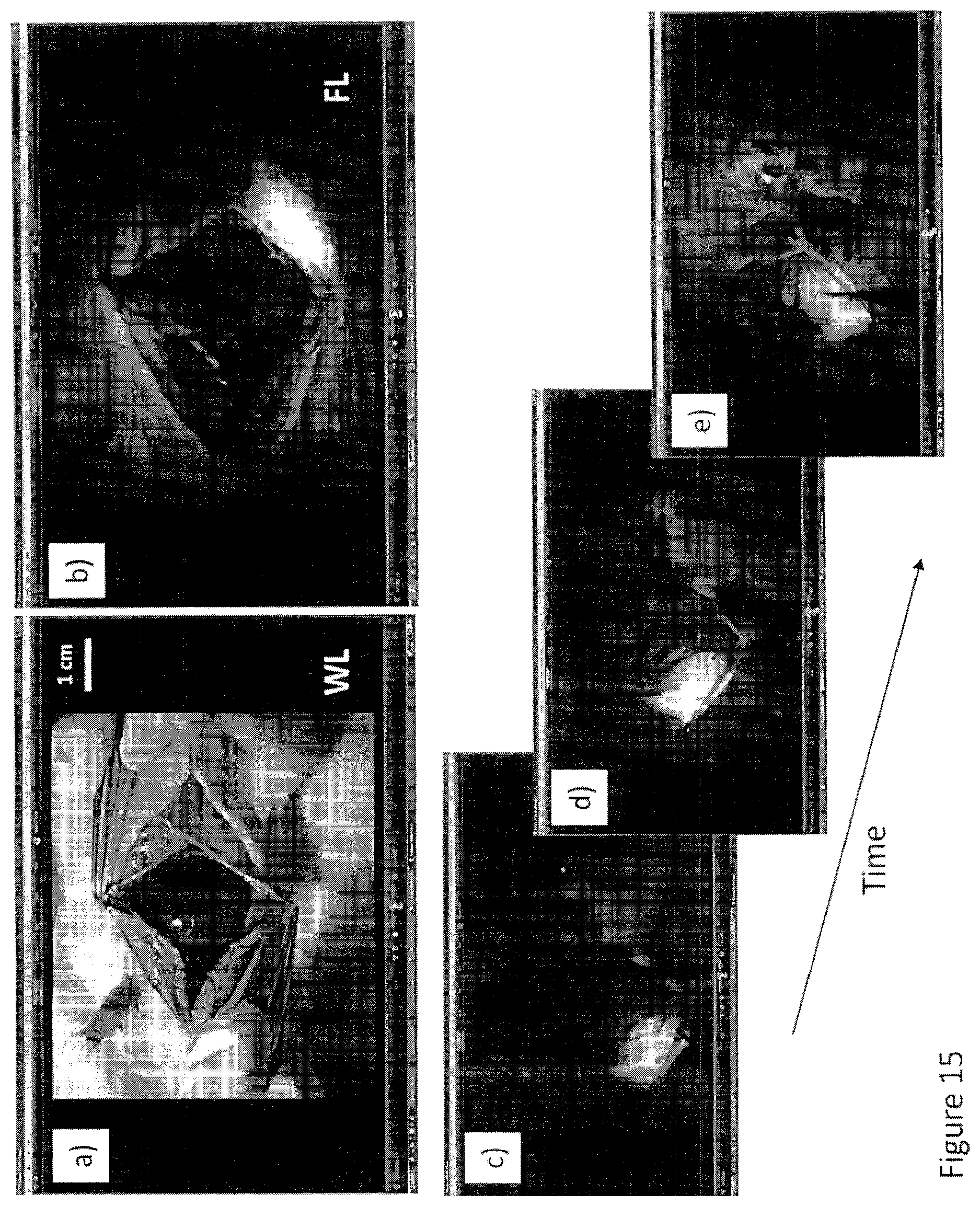 Patent US12616372 Figure 20 – Devices, methods, and systems for fluorescence-based imaging and detection of location(s) and/or source(s) of potential contamination and/or pollution