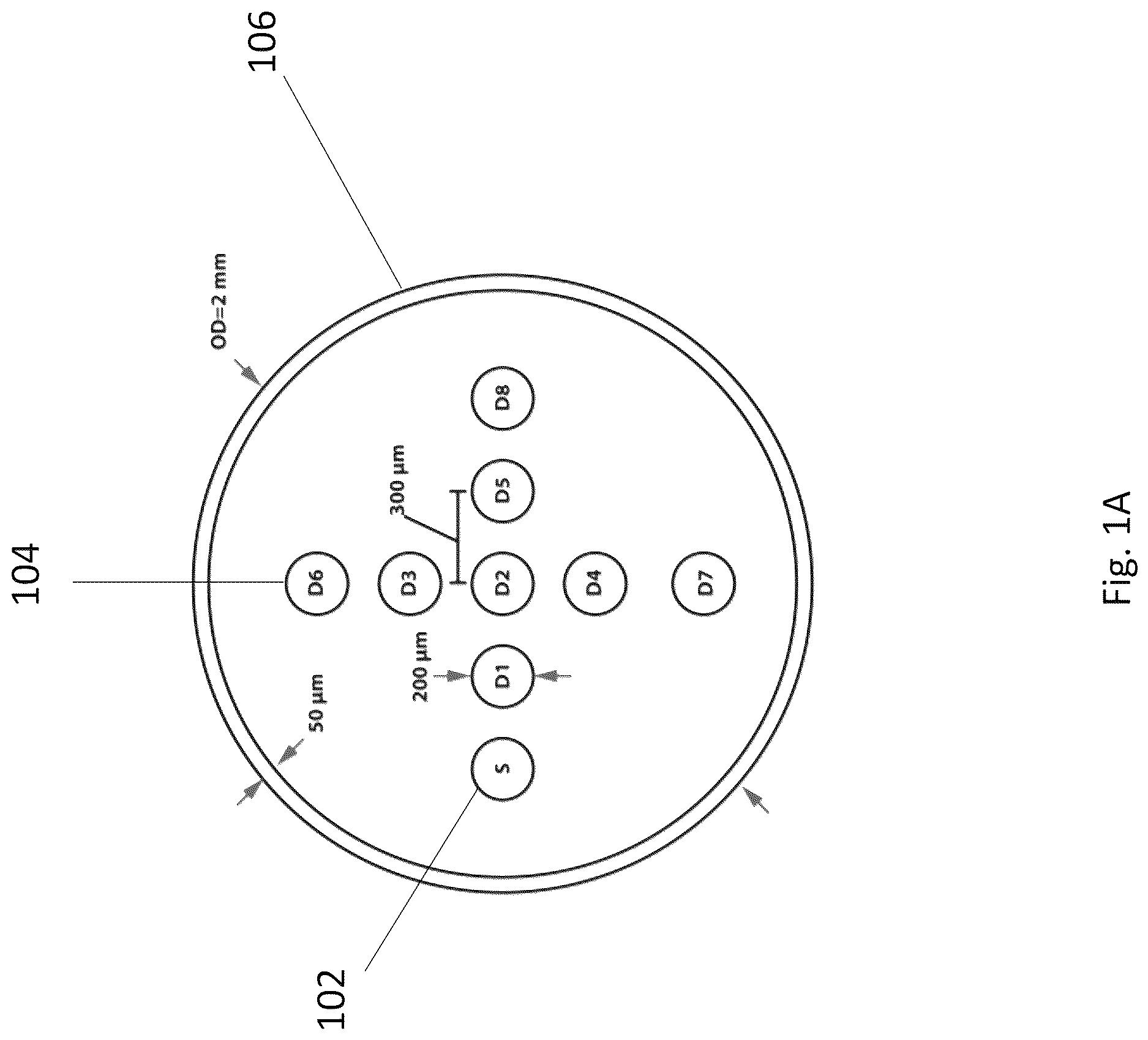 Patent US12616373 Figure 1 – Optical spectroscopy and treatment planning software for photodynamic therapy of hollow cavities
