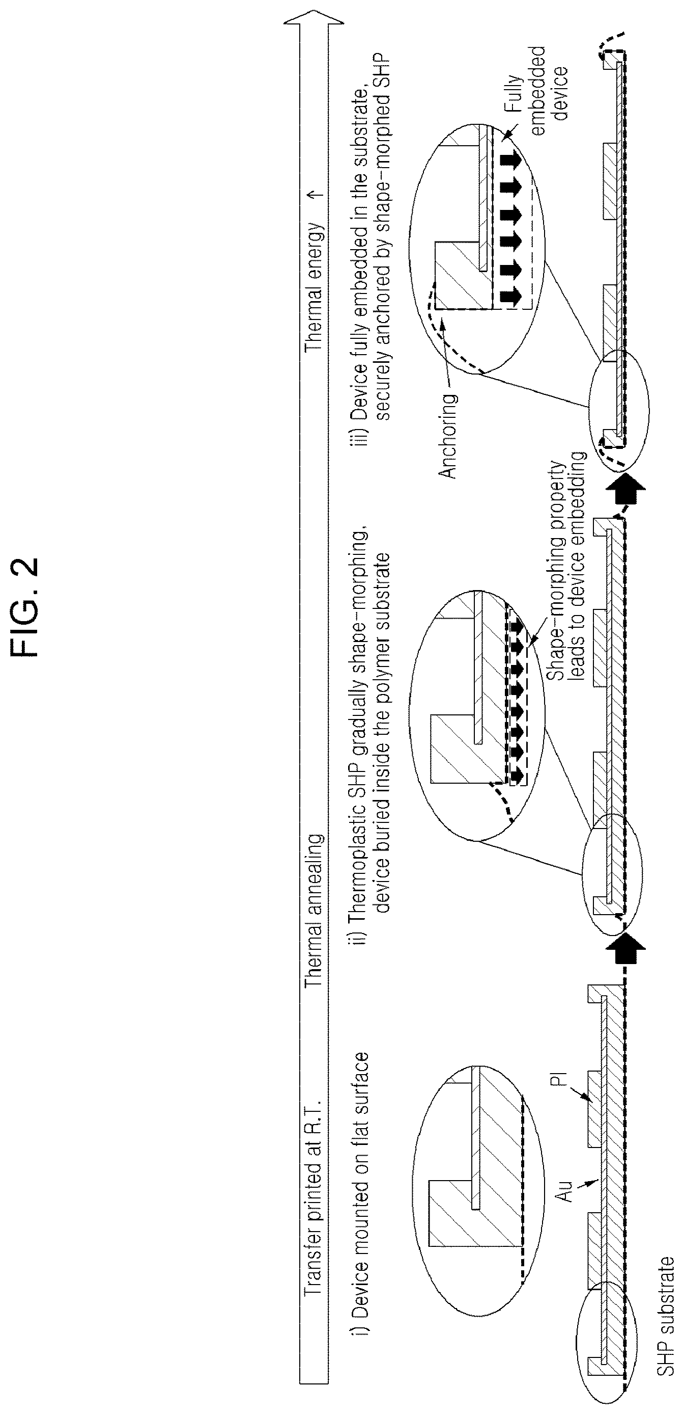Patent US12616407 Figure 2 – Shape-deformable and elastic bioadhesive electronic device and manufacturing method thereof