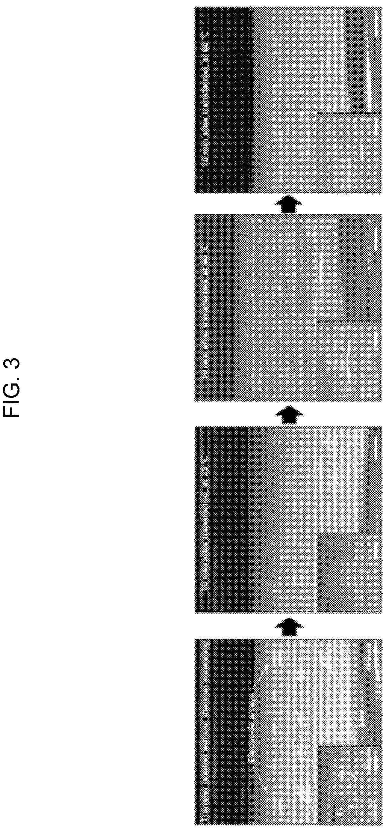 Patent US12616407 Figure 3 – Shape-deformable and elastic bioadhesive electronic device and manufacturing method thereof