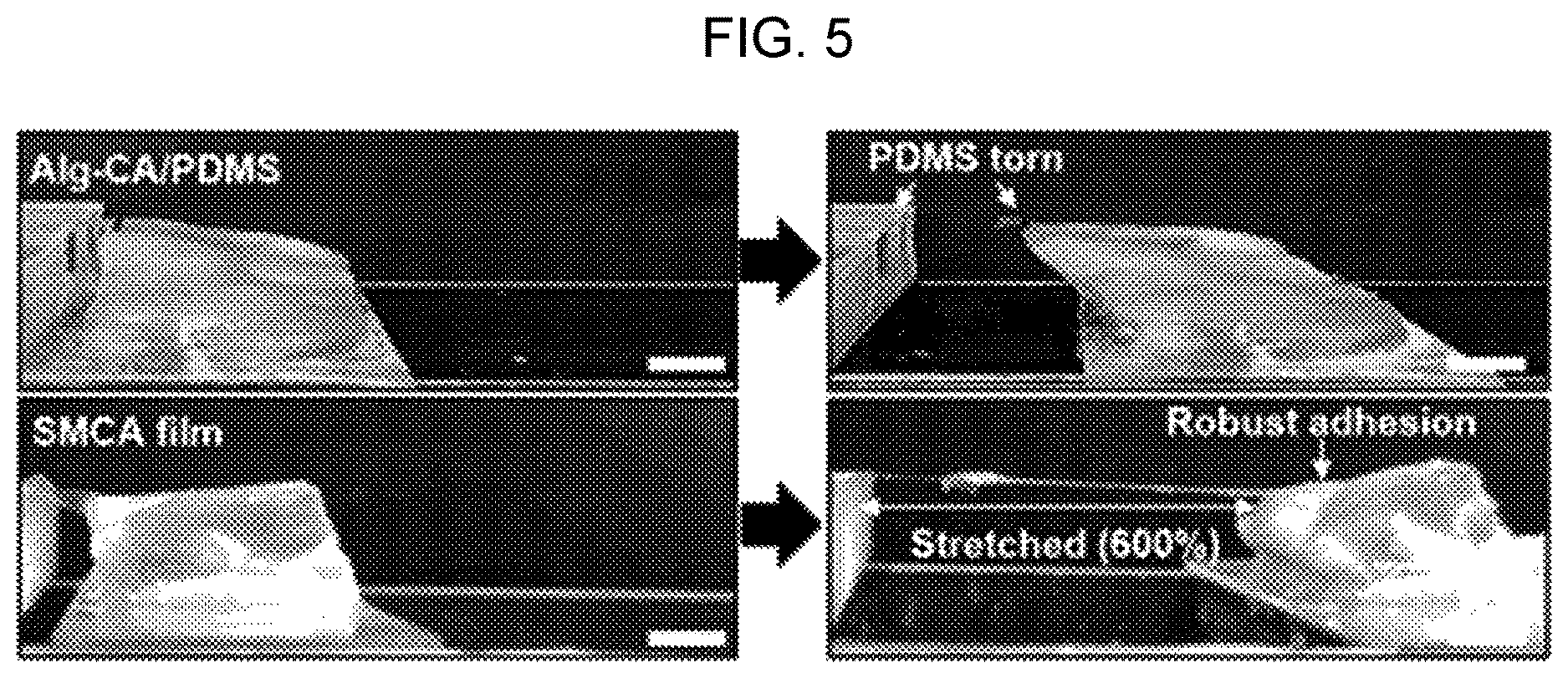 Patent US12616407 Figure 5 – Shape-deformable and elastic bioadhesive electronic device and manufacturing method thereof