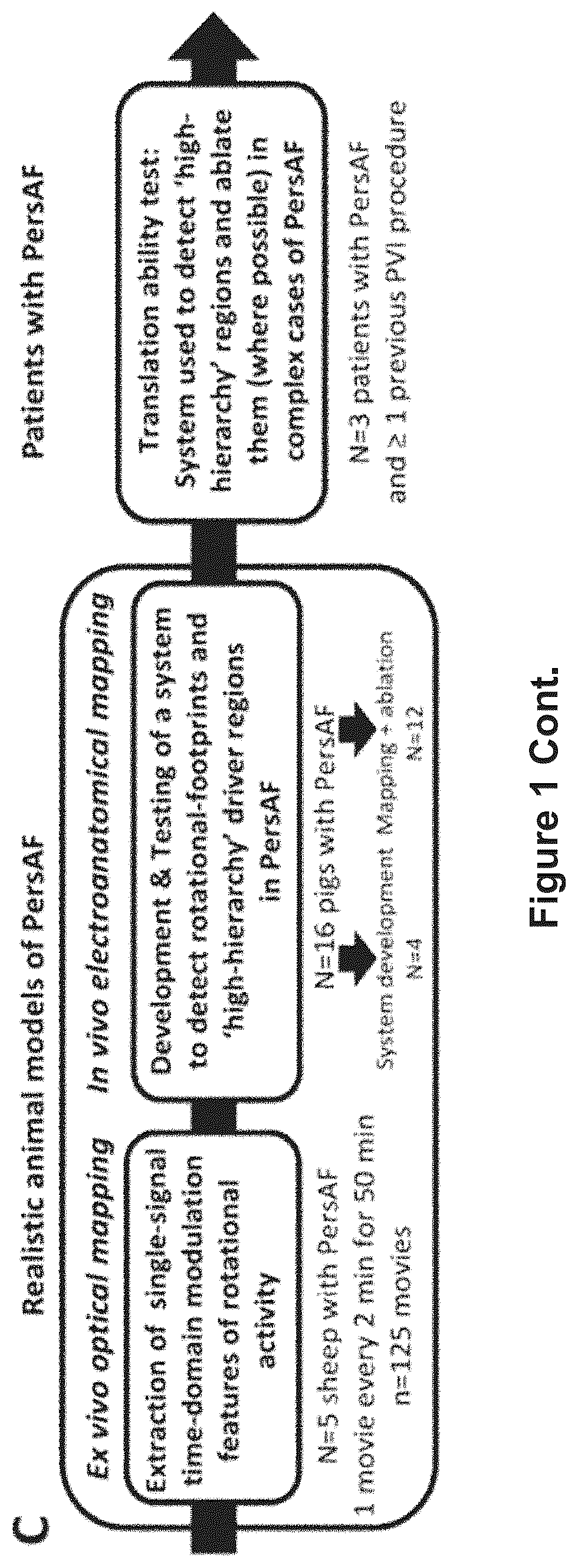Patent US12616412 Figure 2 – Method for the identification of cardiac fibrillation drivers and/or the footprint of rotational activations using single optical or electrical signals without requiring panoramic simultaneous acquisition