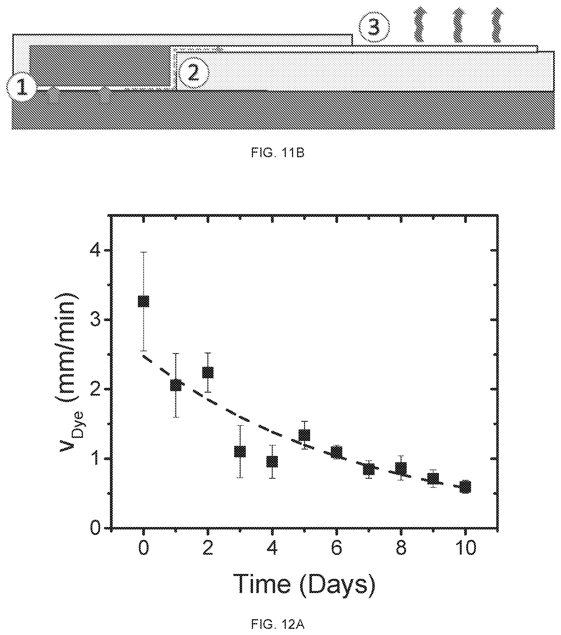 Patent US12616455 Figure 19 – Hydrogel-enabled microfluidic sweat sequestering for wearable human-device interfaces