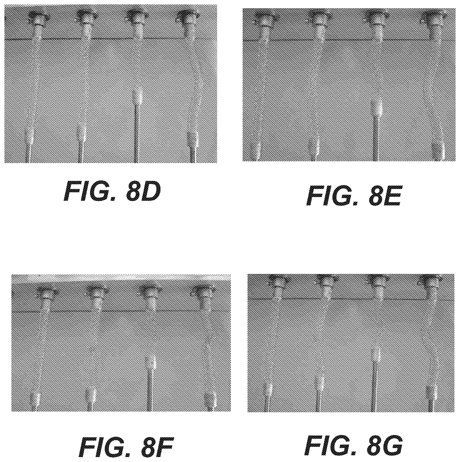 Patent US12616592 Figure 9 – Bidirectional stent and method of use thereof