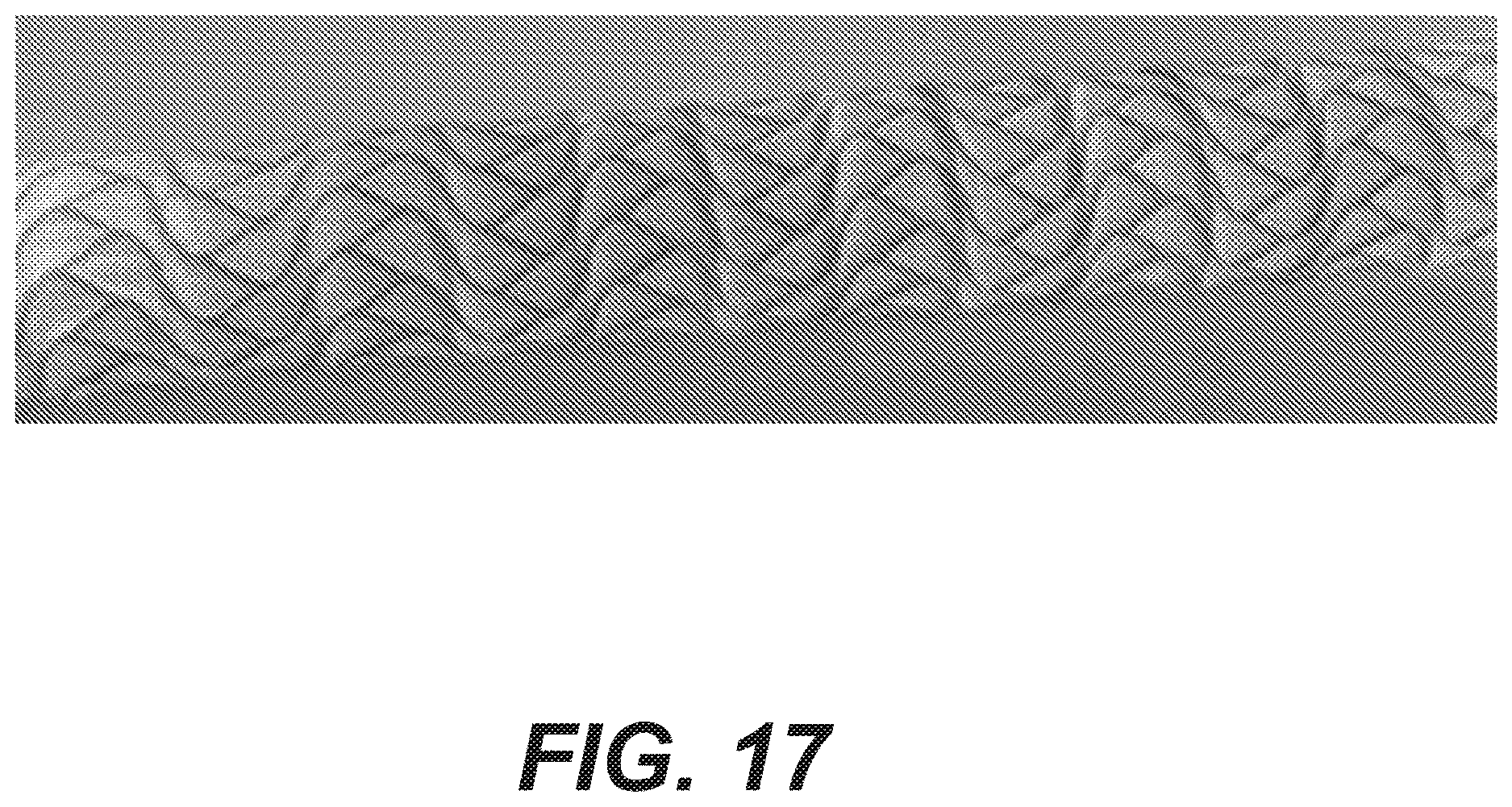 Patent US12616592 Figure 18 – Bidirectional stent and method of use thereof