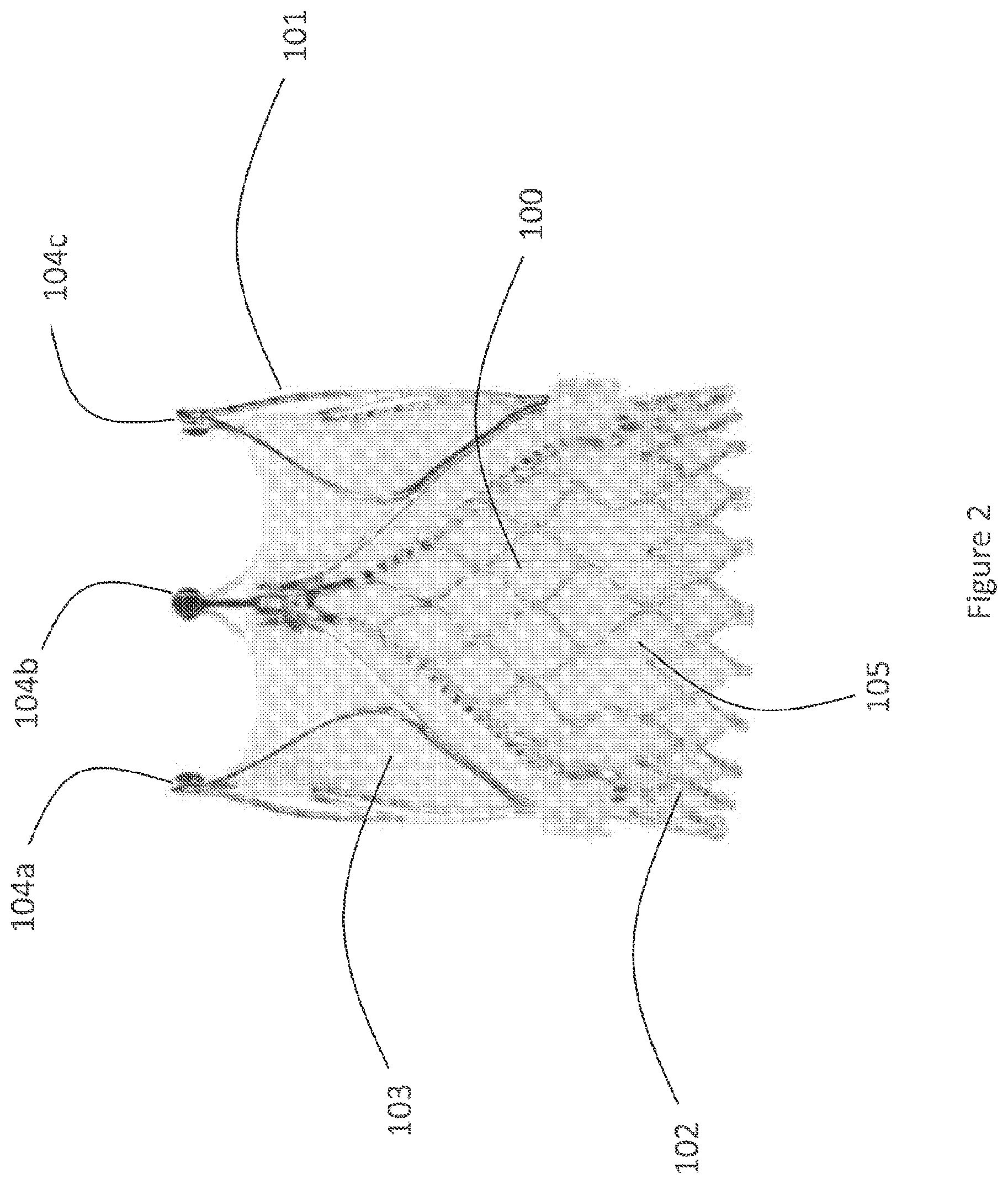 Patent US12616593 Figure 2 – Heart valve prosthesis delivery system and method for delivery of heart valve prosthesis with introducer sheath and loading system