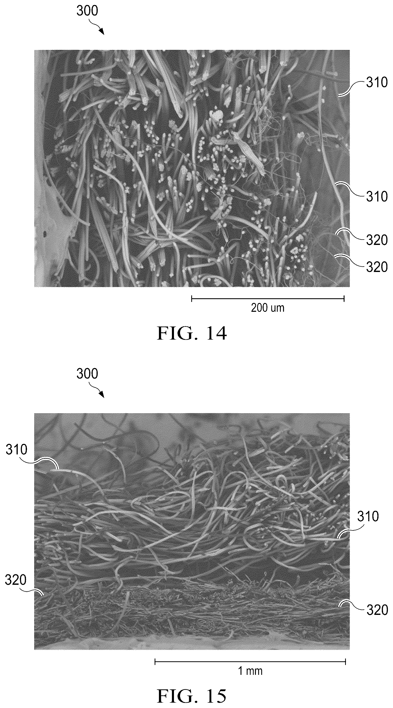 Patent US12616619 Figure 12 – Nonwoven and absorbent articles containing the same